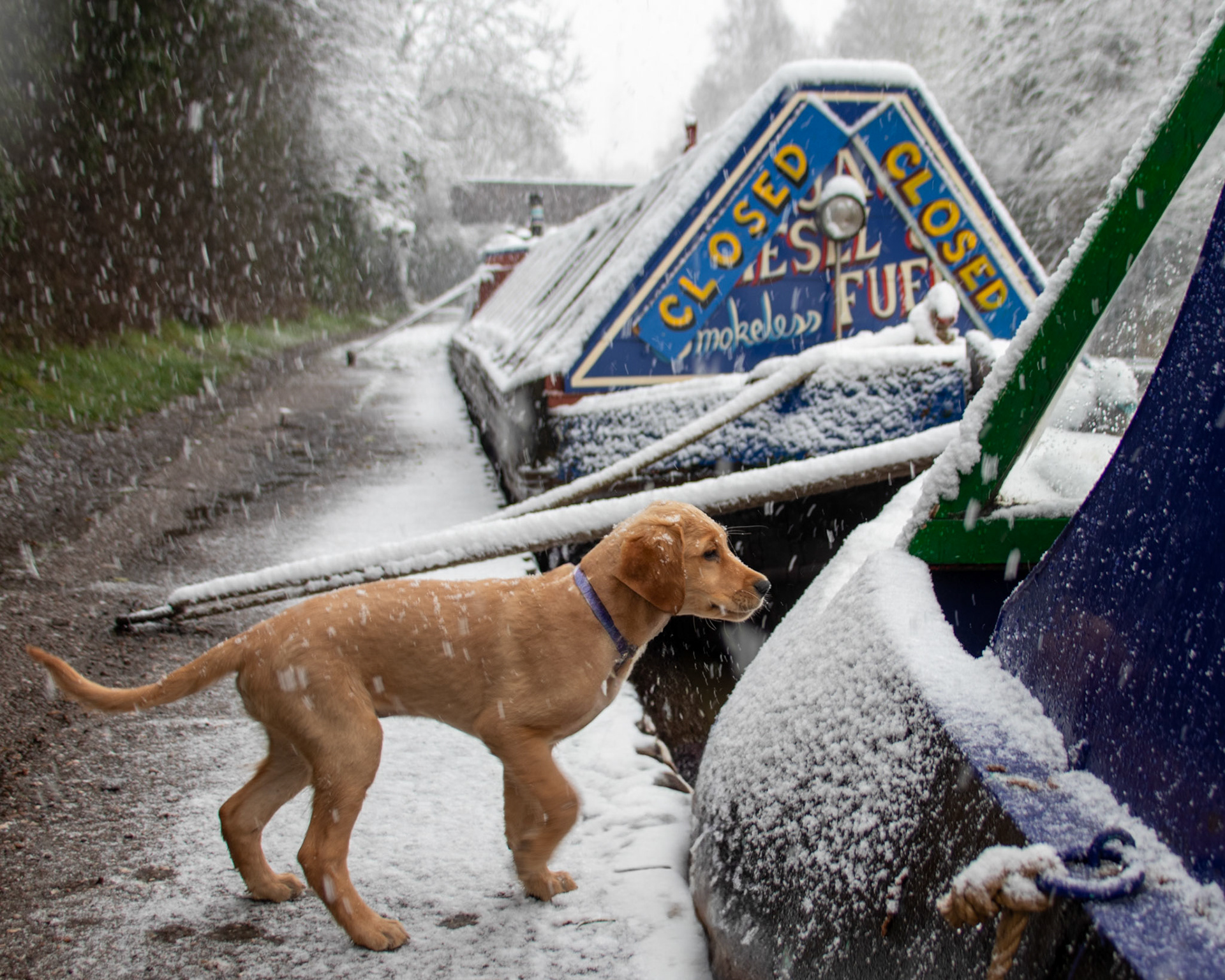 Snowing at The Anchor Inn (Coventry Canal)