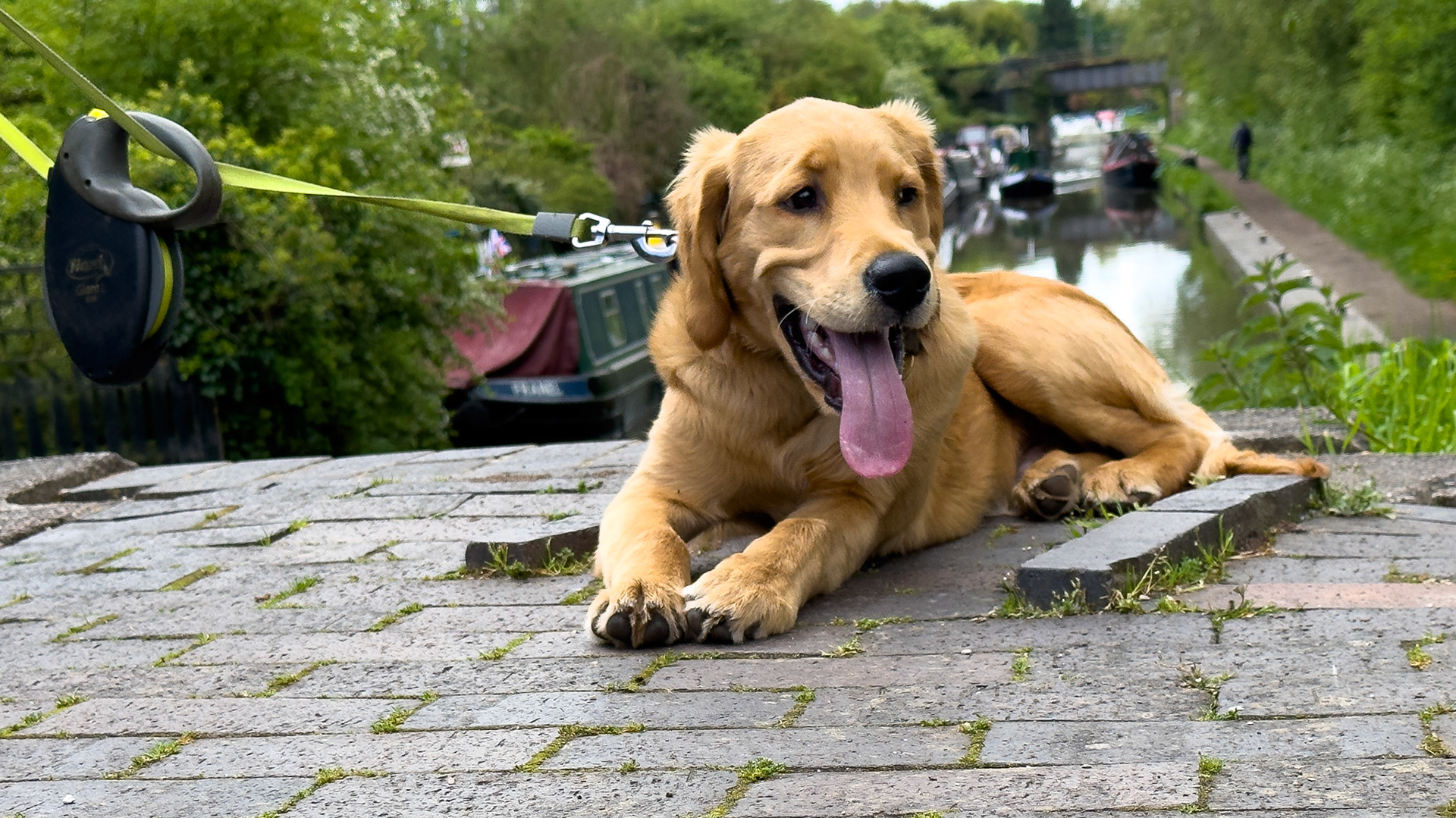 Finlay at 24 weeks old (Glascote Locks)