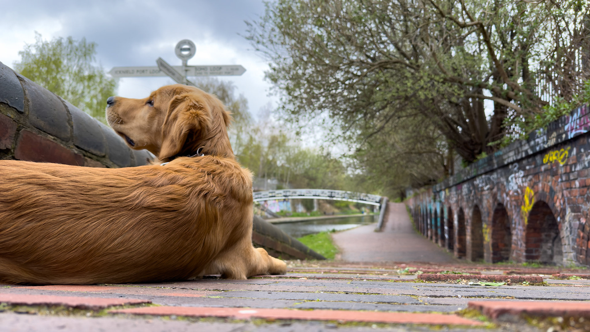 BCN Old Mainline Junction