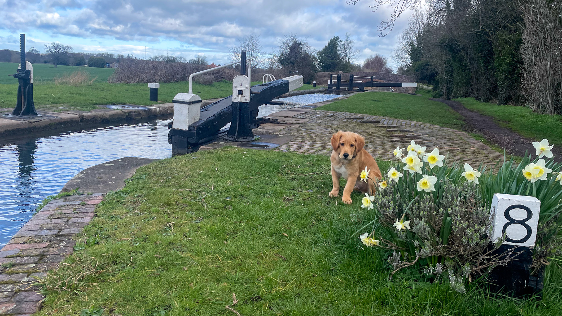 Finlay at 18 weeks old (Curdworth Locks)