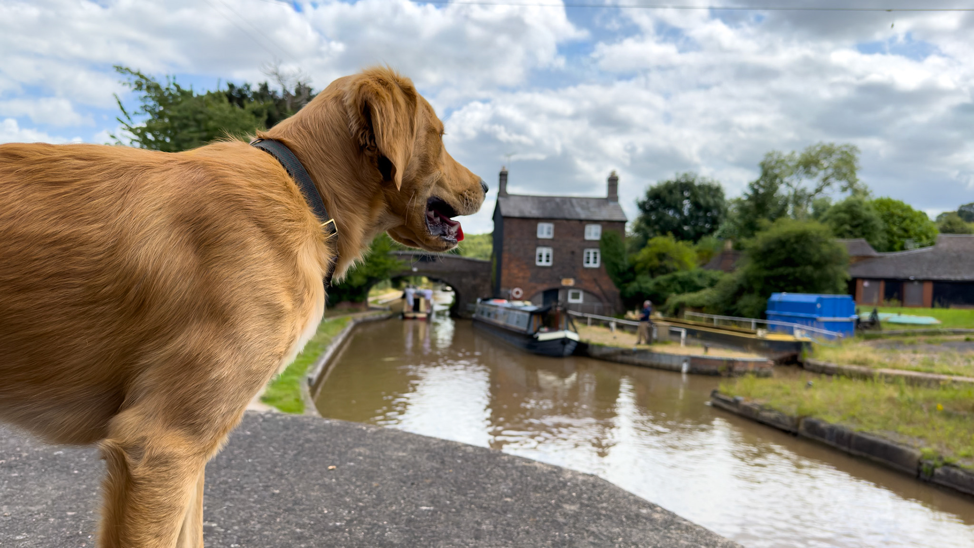 Hartshill Maintenance Yard on Coventry Canal
