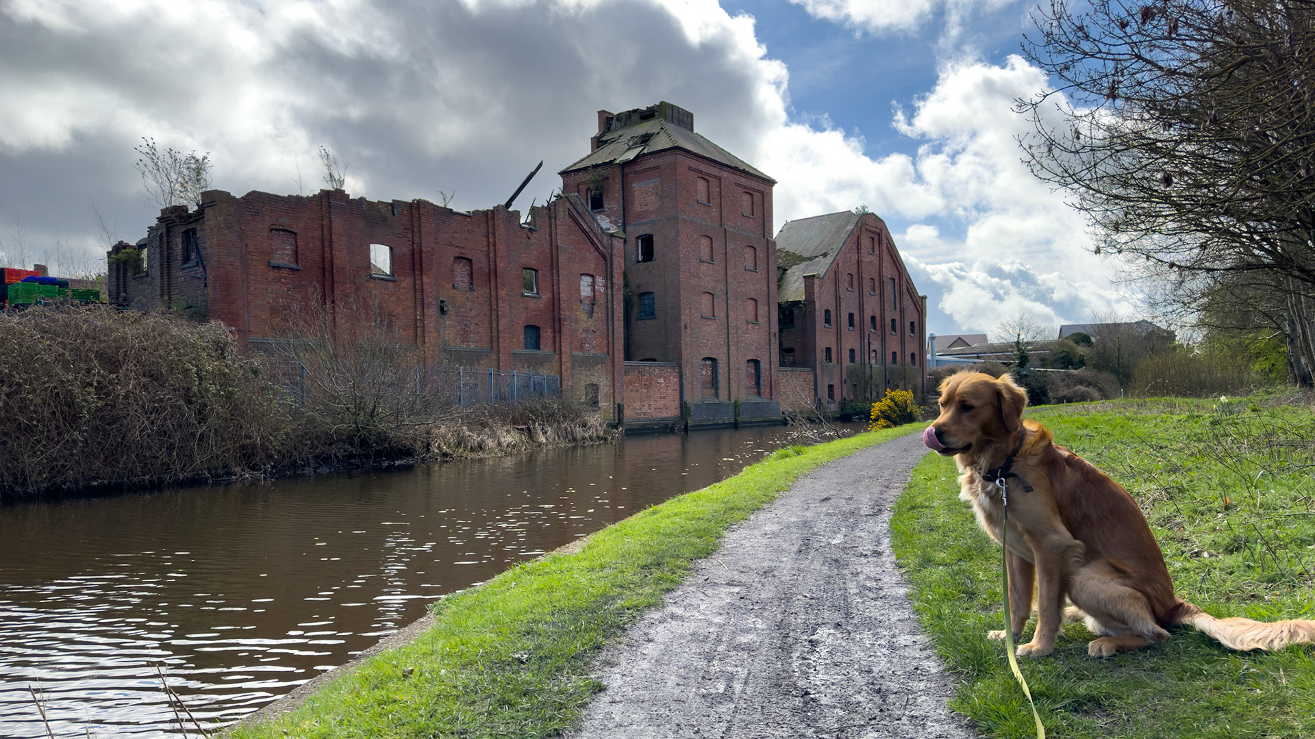 Titford Canal and Langley Maltings