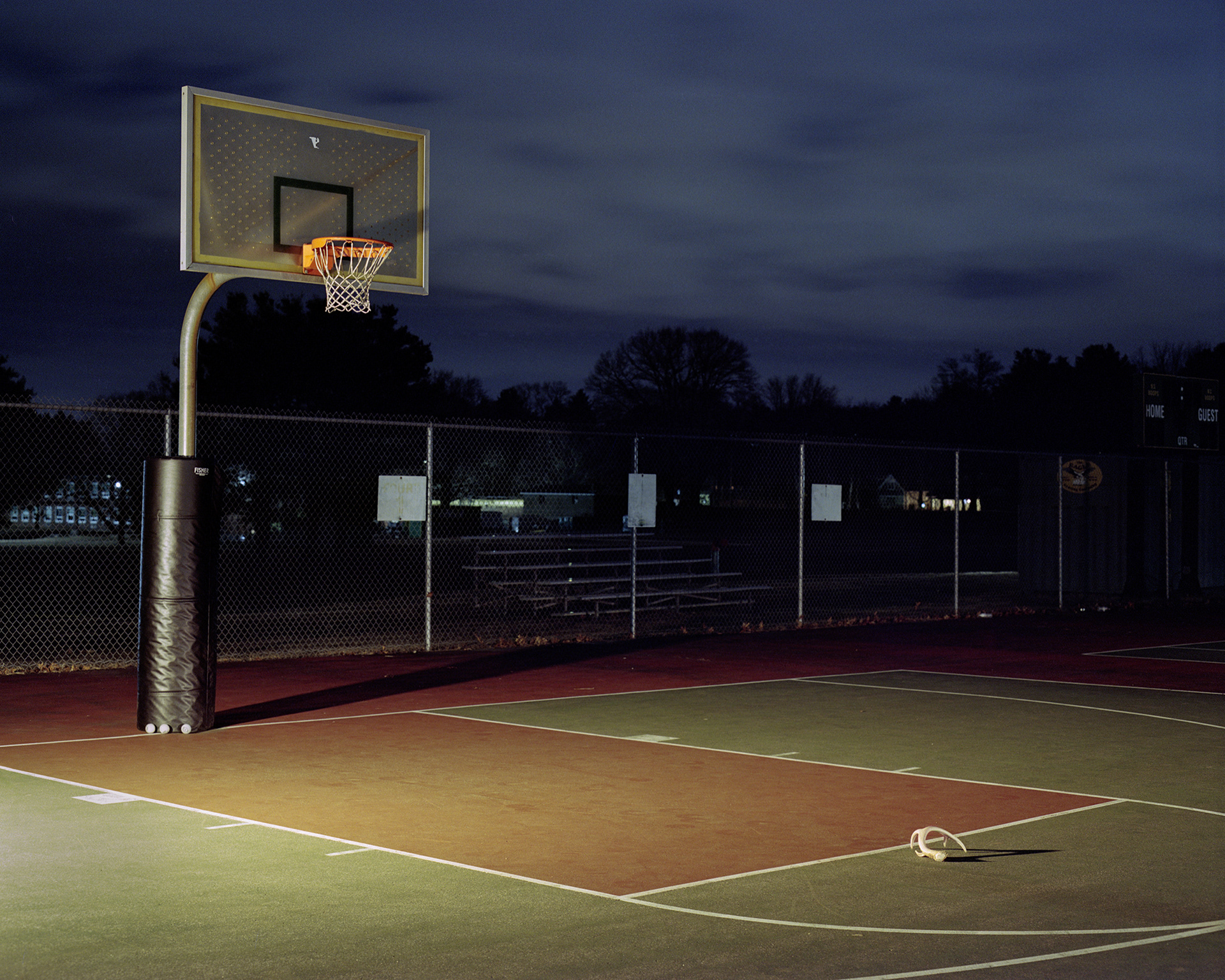 Antler Playing Basketball, 2025