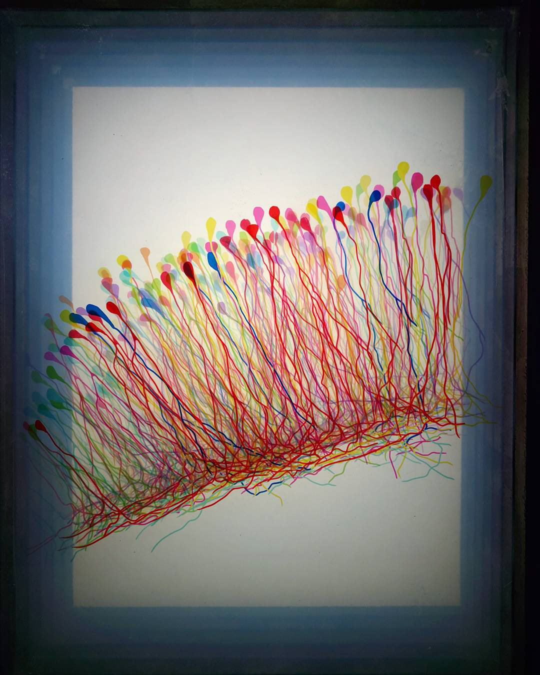 Brainbow