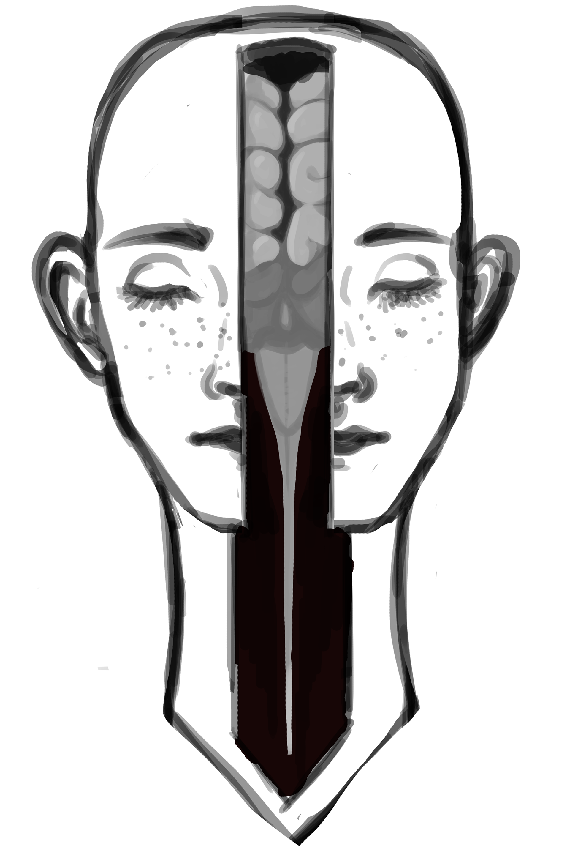 Sketch