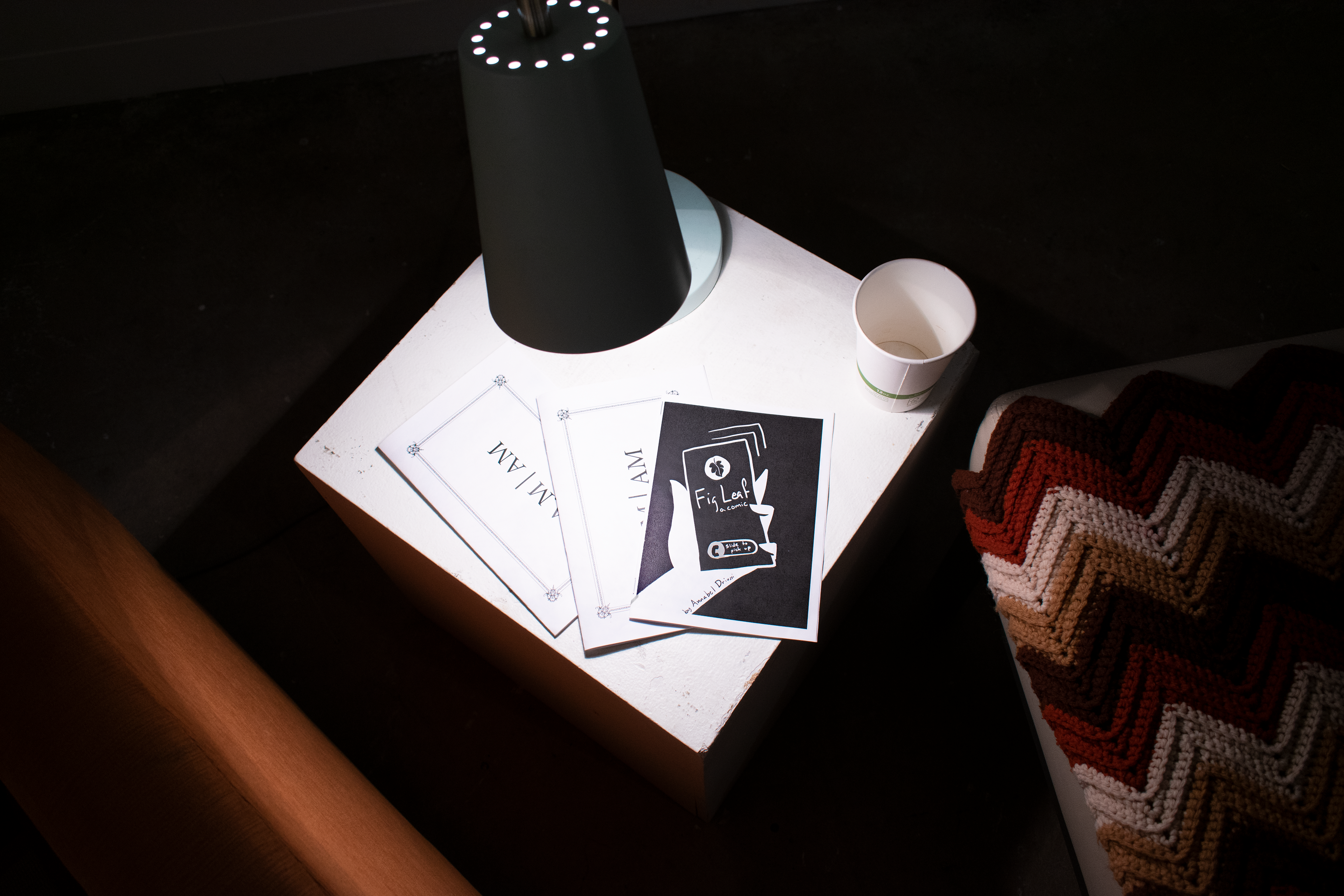 A.M. | AM and Fig Leaf, zines