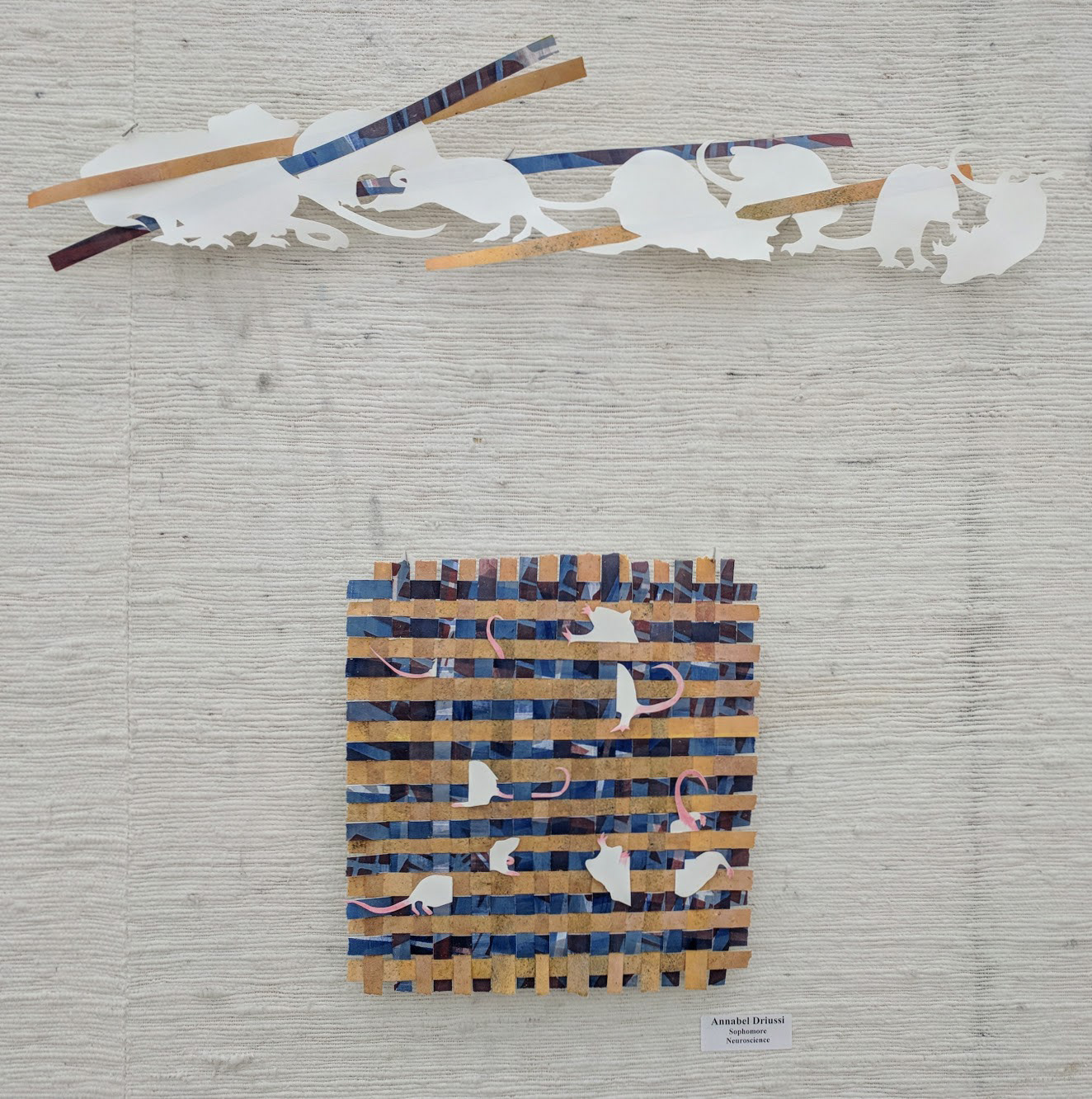 BARS x SAWDUST
