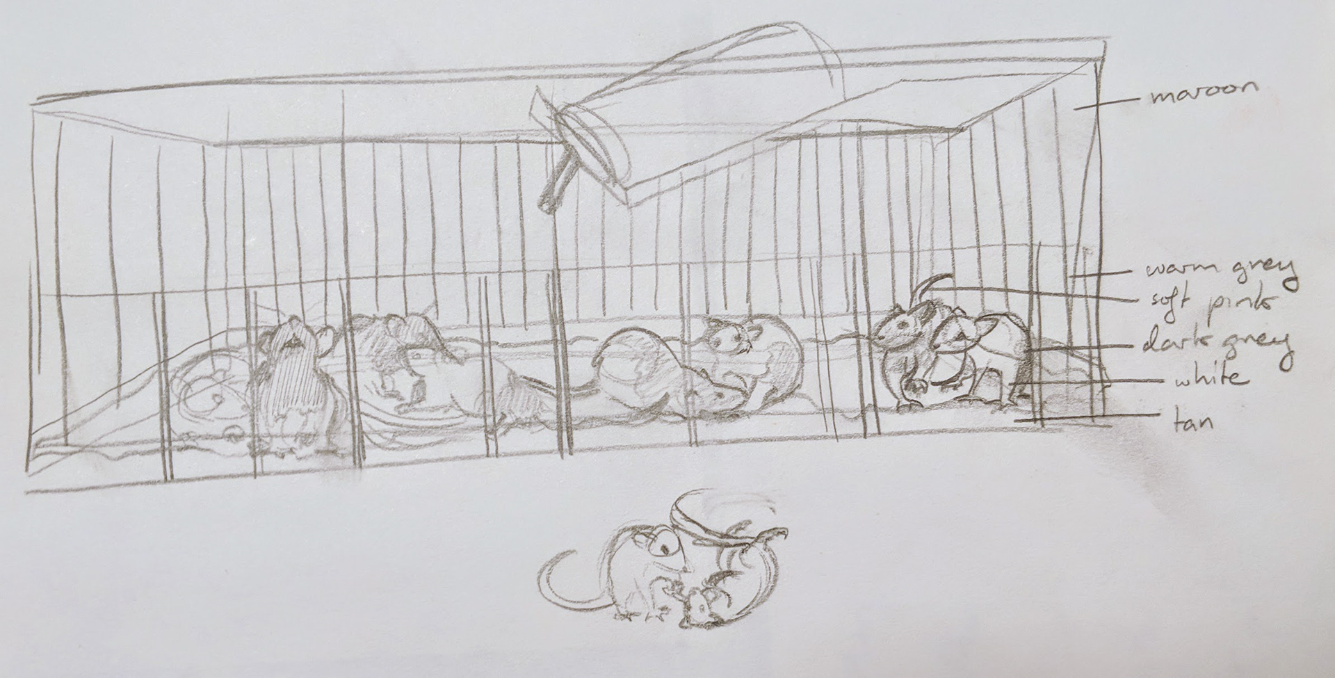 Observational sketch