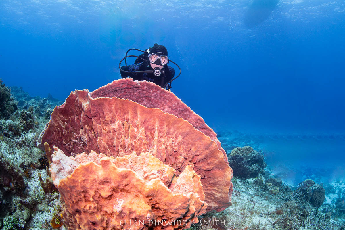 Mike with barrelsponge