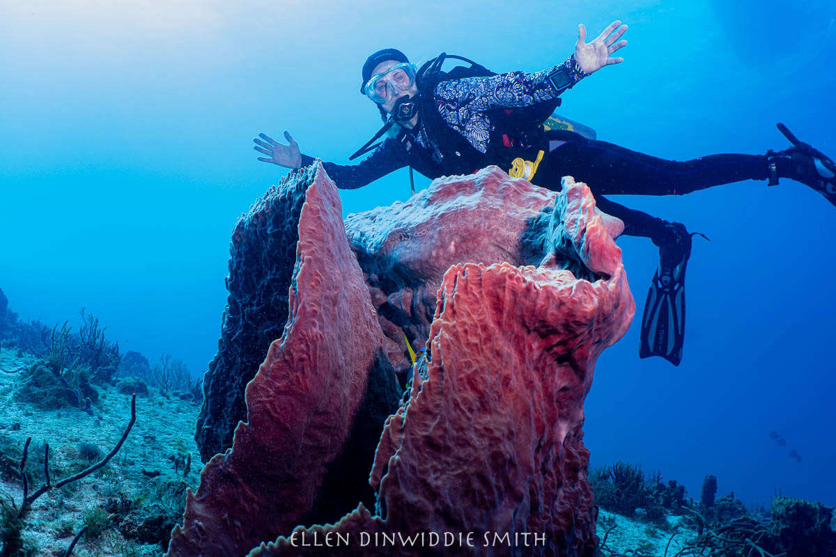 Catherine with barrelsponge