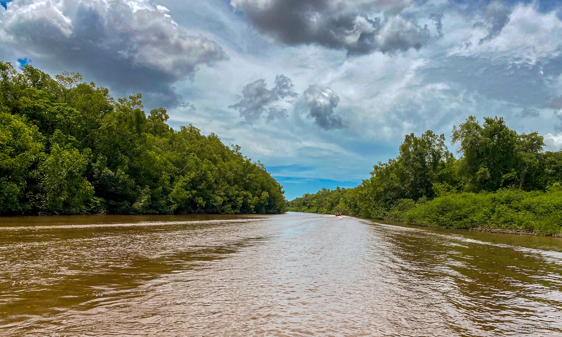 Warappakreek  / Sailing from Plantage Alliance towards Plantage Bakkie [Suriname, 2022 09]