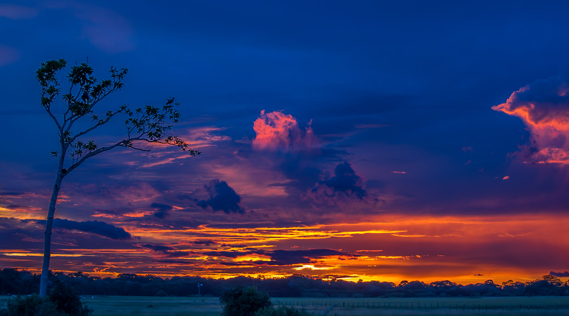 Mato Grosso do Sul-Xaraés Nature camping / Dramatic sunset in the Pantanal [2017 01]