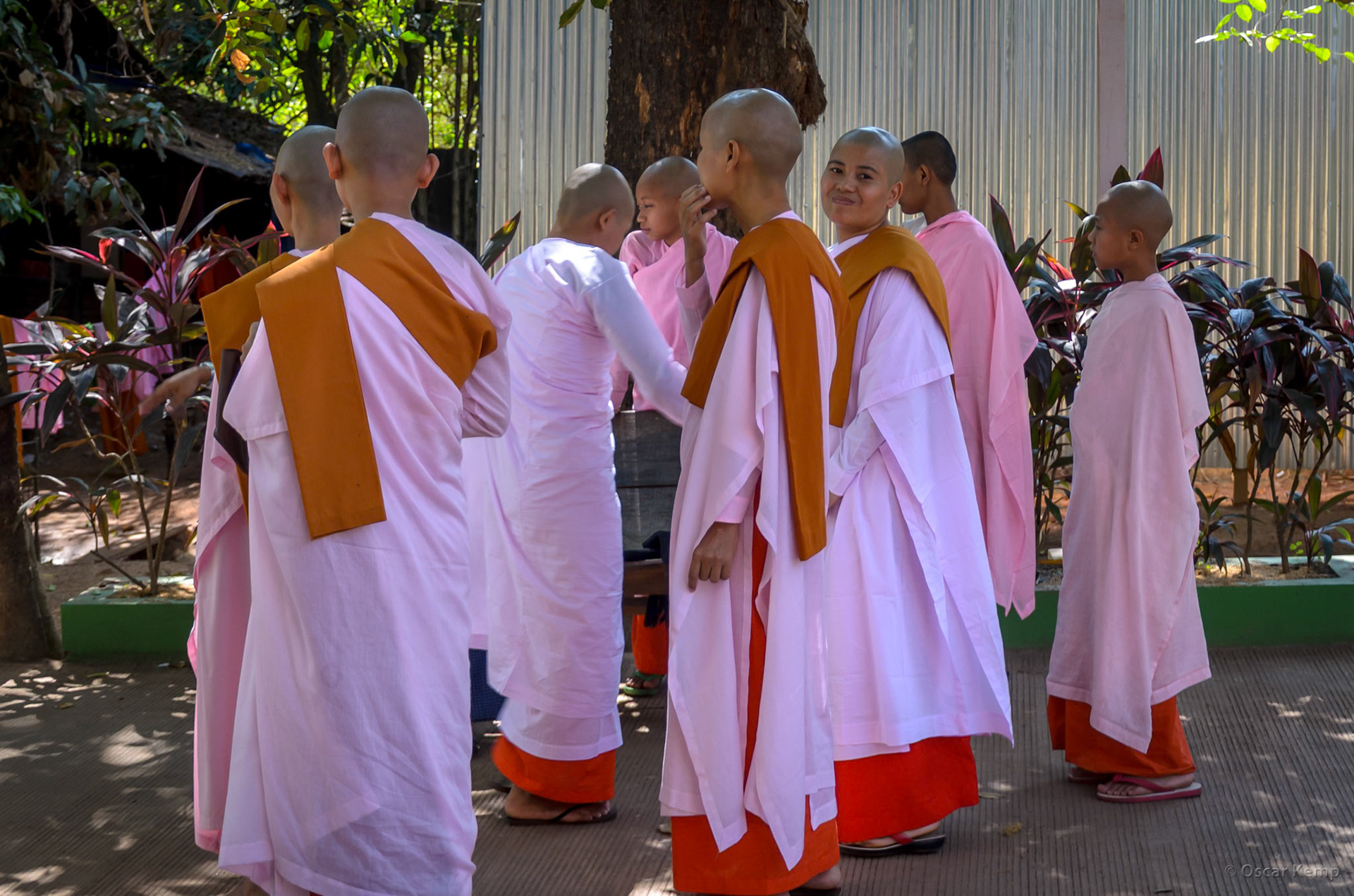 near Kalaywa Monastery | Bhikkhunīs (Buddhist nuns) of the local Saṅgha (community) [Myanmar, 2012 01]