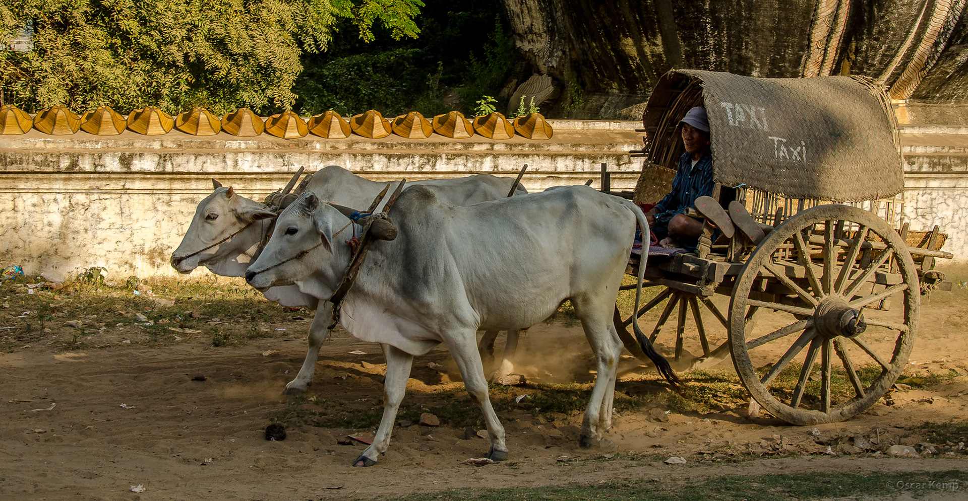 Min Kun near Mingun Pahtodawgyi Stupa / Ox taxi 💪🏾 [Myanmar, 2012 01]