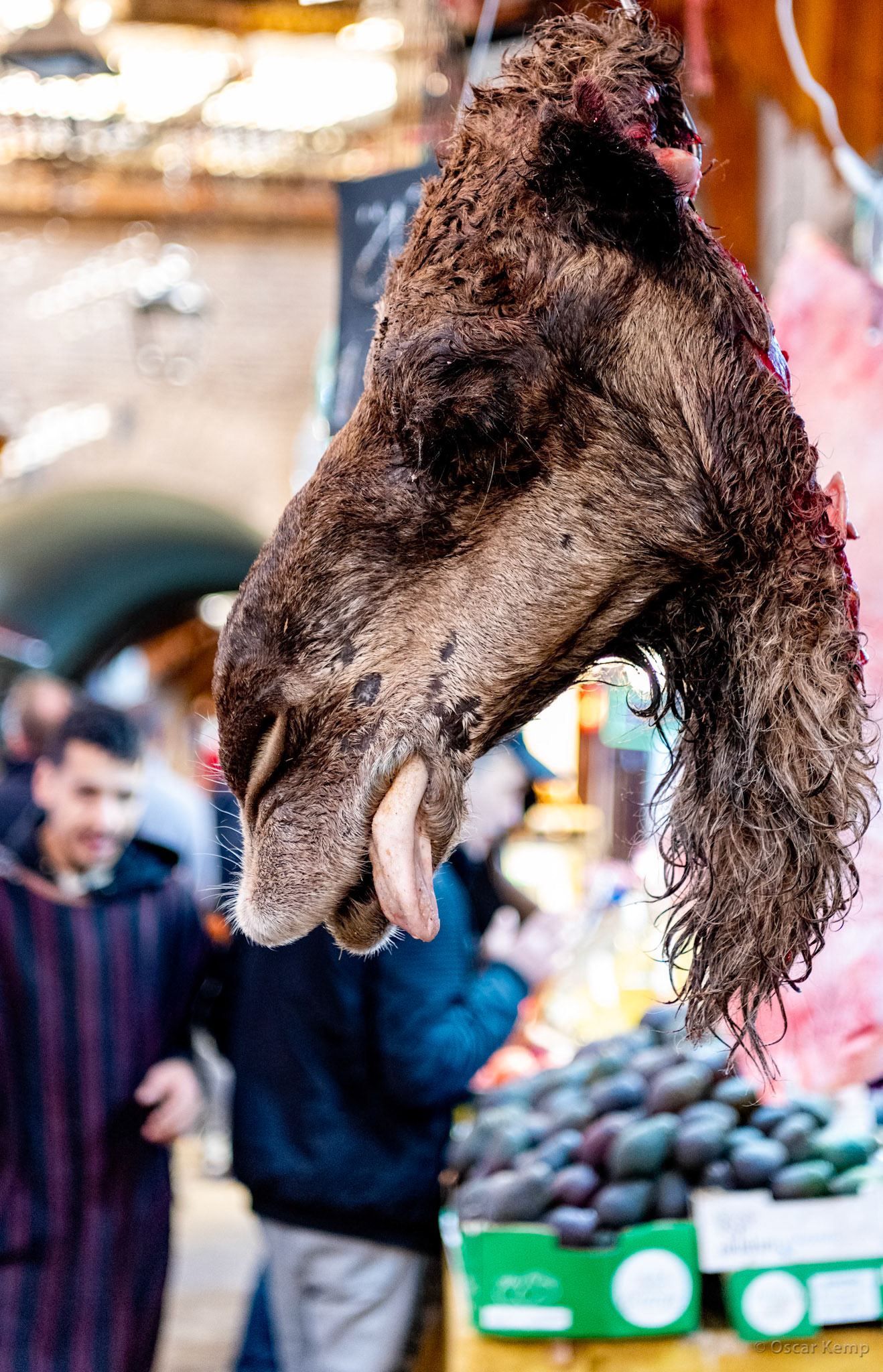 Fes-Bvd Ben Mohammed El Alaoui / Camel head in front of butcher shop indicates freshness of meat on offer [Marocco, 2025 02]