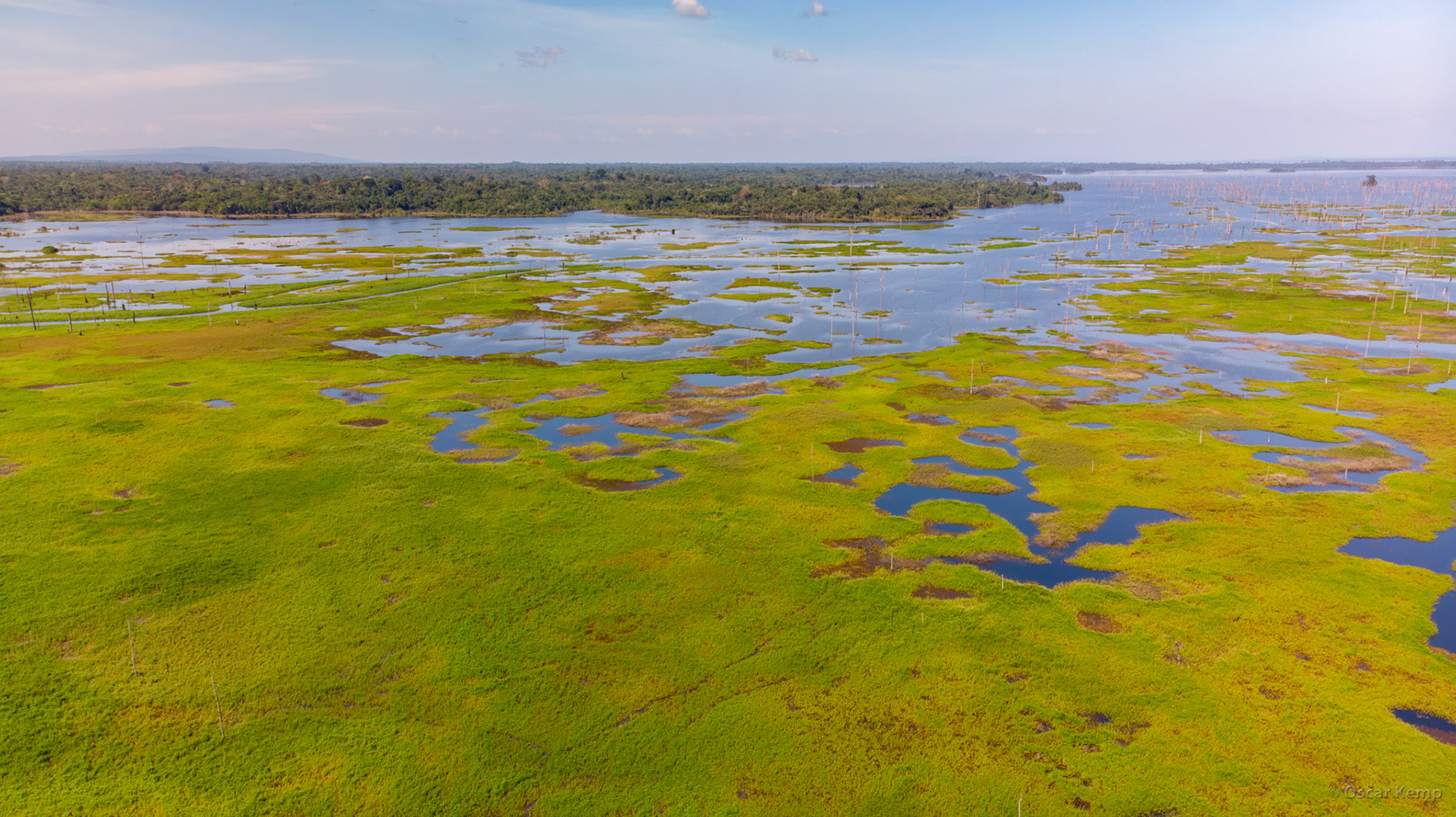Blommensteijn Stuwmeer / Densely vegetated edges of the reservoir [Suriname, 2018 10]