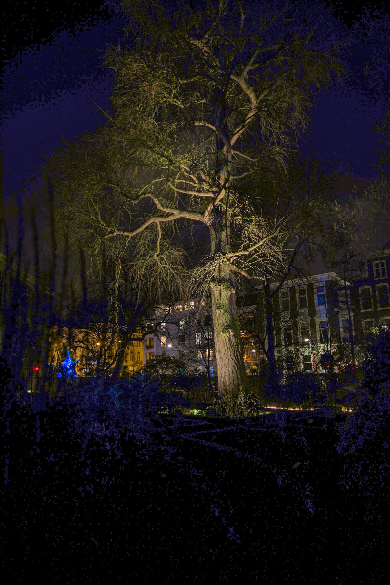 Amsterdam Light Festifal  @ Hortus