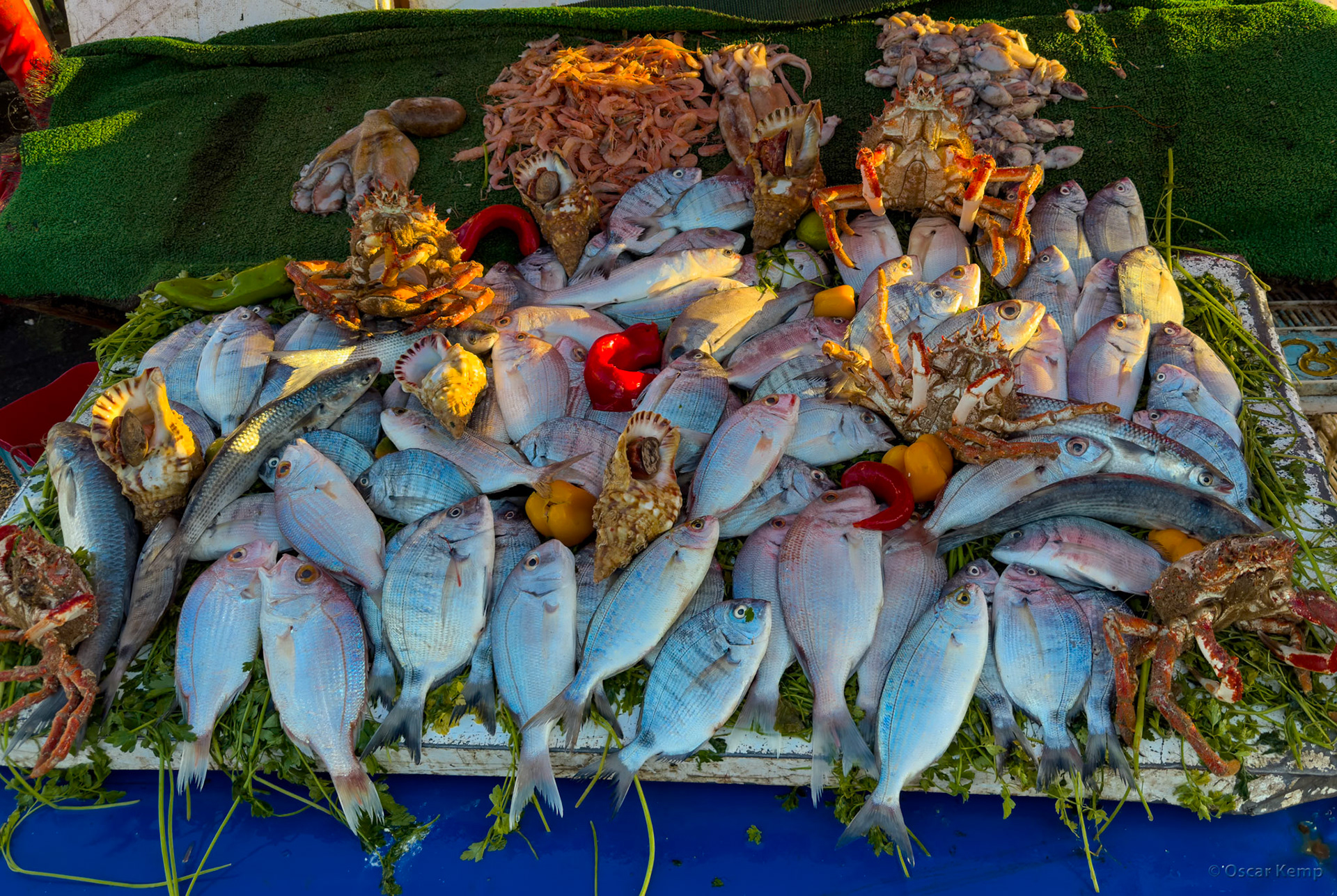 Essaouira-Harbour / Fresh seafood stall [Marocco, 2025 02]