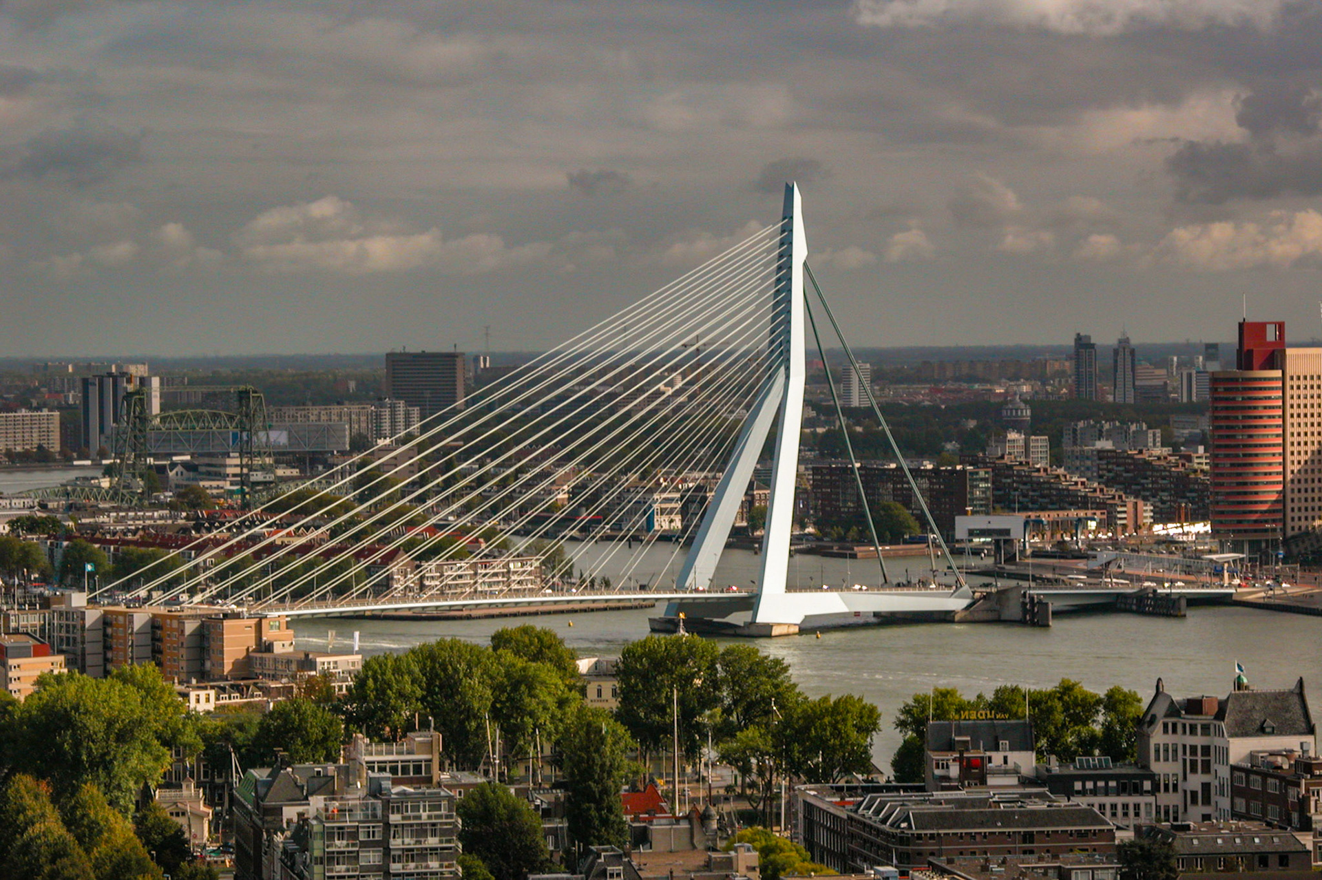 Erasmusbrug over de Nieuwe Maas