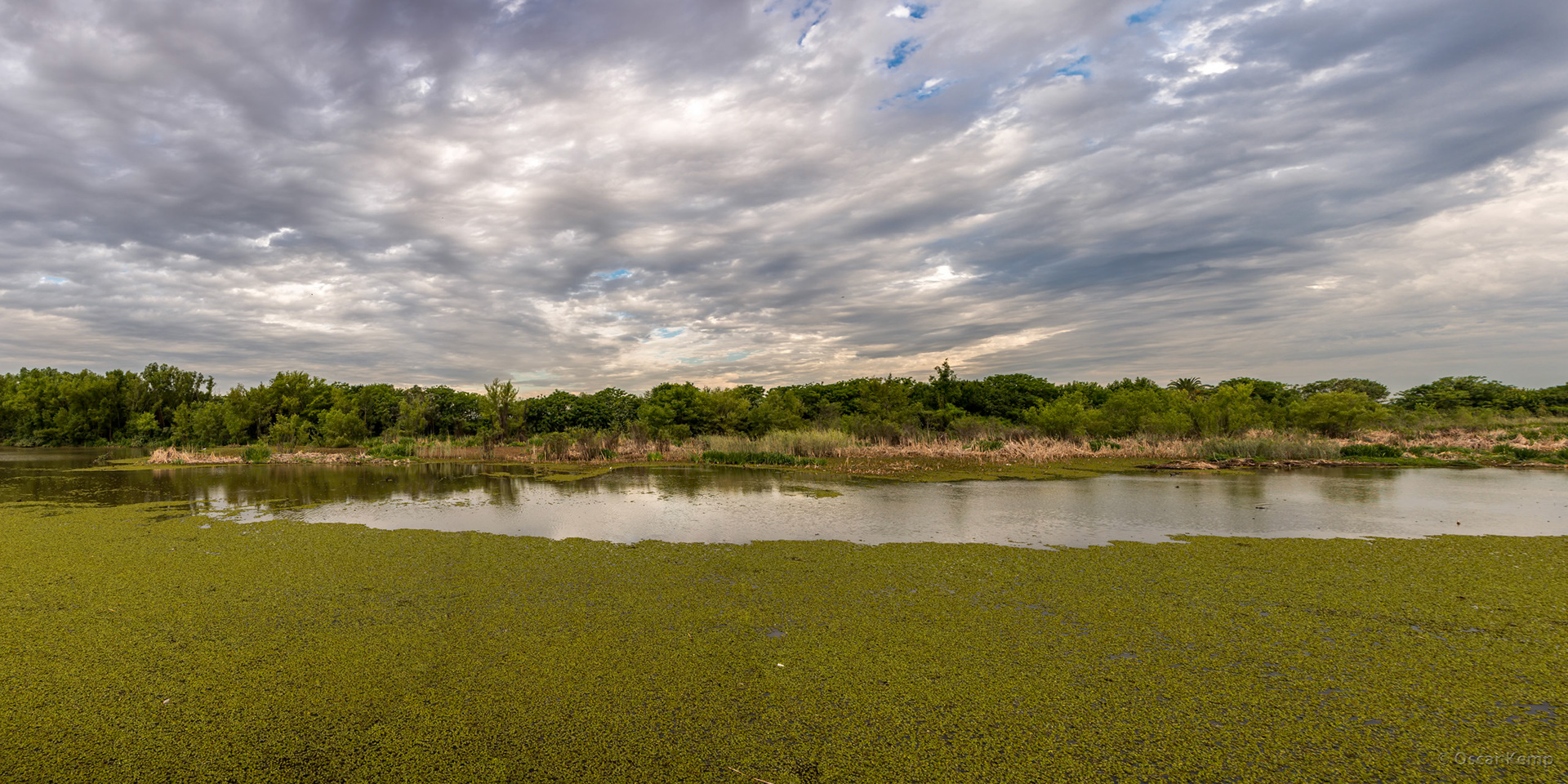 Puerto Madero-Av. Alicia Moreau de Justo / Reserva Ecológica Costanera Sur: 865-acre (3.50 km2) Buenos Aires Ecological Reserve [2016 12]