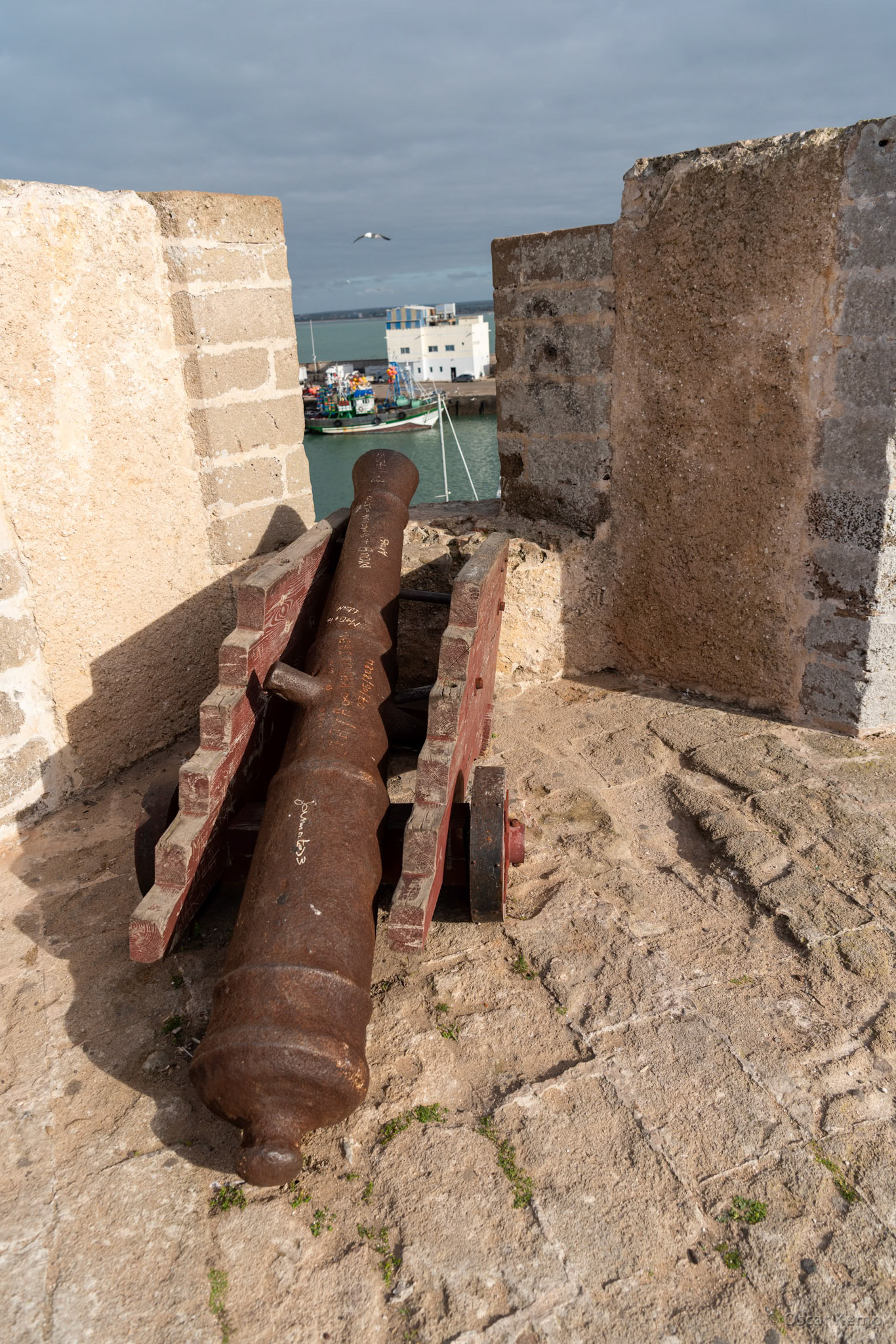 El Jadida / Old cannon at Fort El Jadida [Marocco, 2025 02]