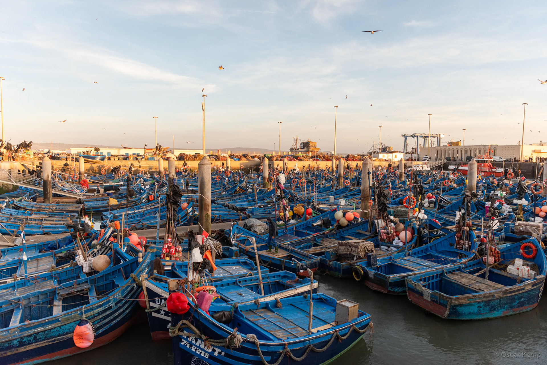 Essaouira-Harbour / Part of the local fishing fleet [Marocco, 2025 02]