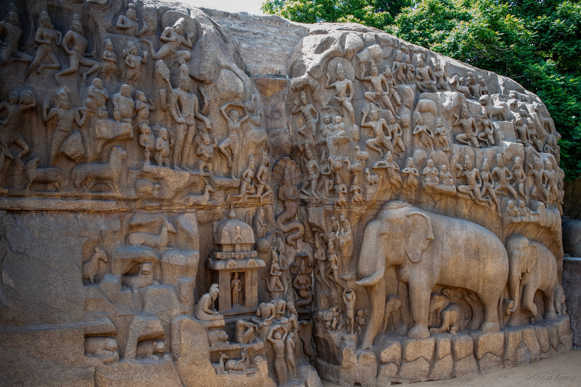Mahabalipuram / Arjuna's Penace (Descent of the Ganges): Gigantic (29m x 13m) open-air rock relief with remarkable detailing [India 2024 09]