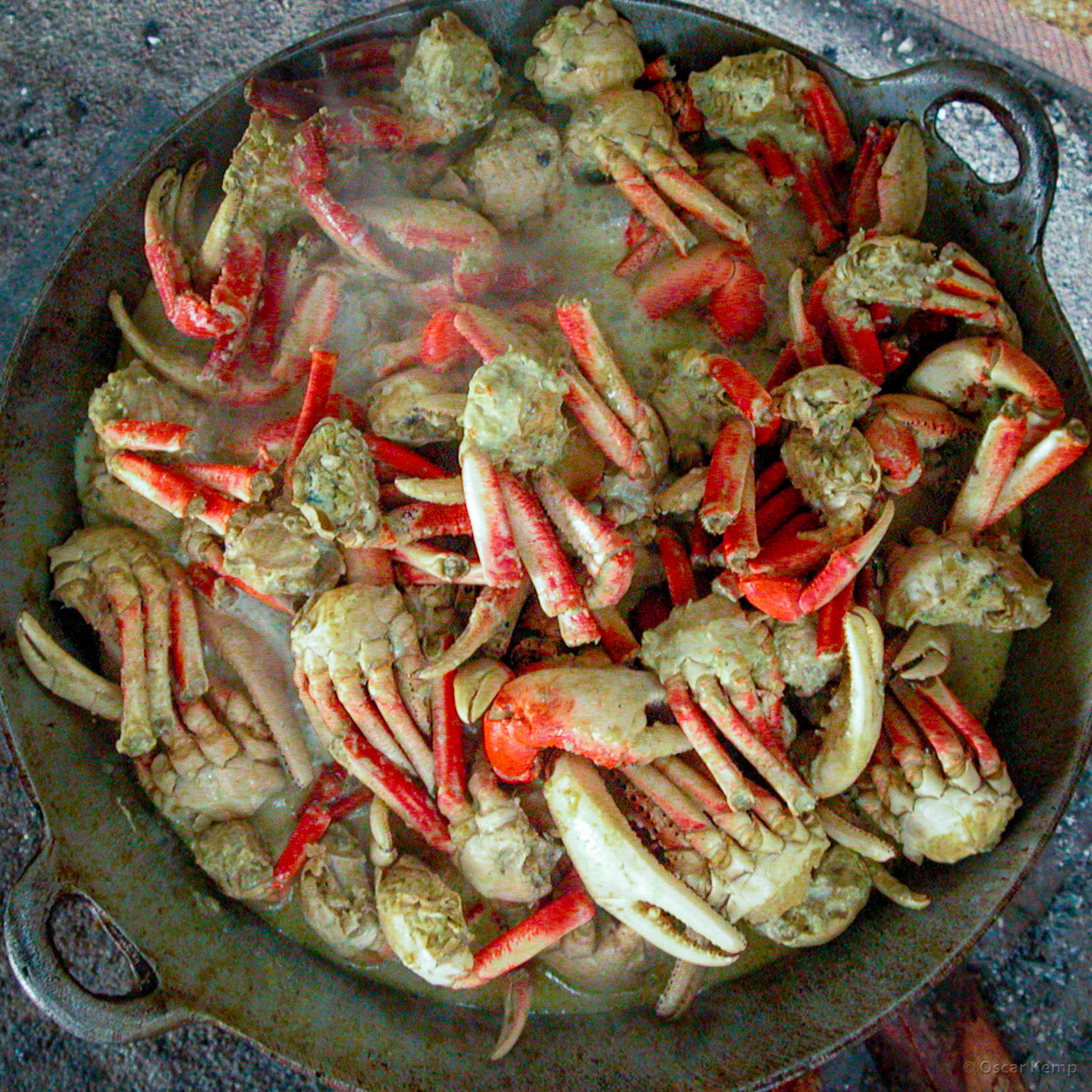 Ma Retraite 3 / Local delicacy: masala krabu (crabs in curry sauce) [Suriname, 2010 05]