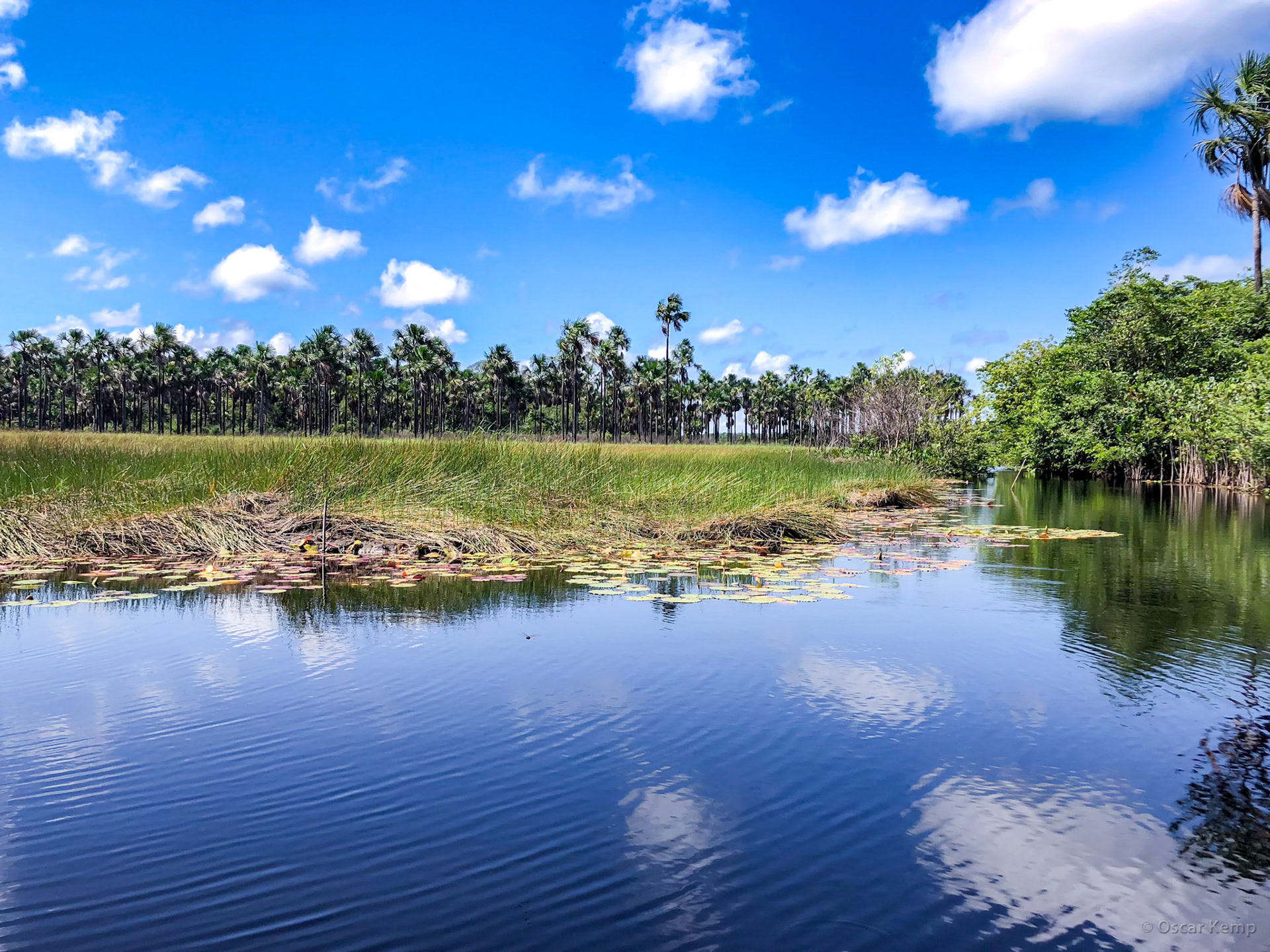 Cassewinica / Cassewinica creek in bright October weather [Suriname, 2019 10]