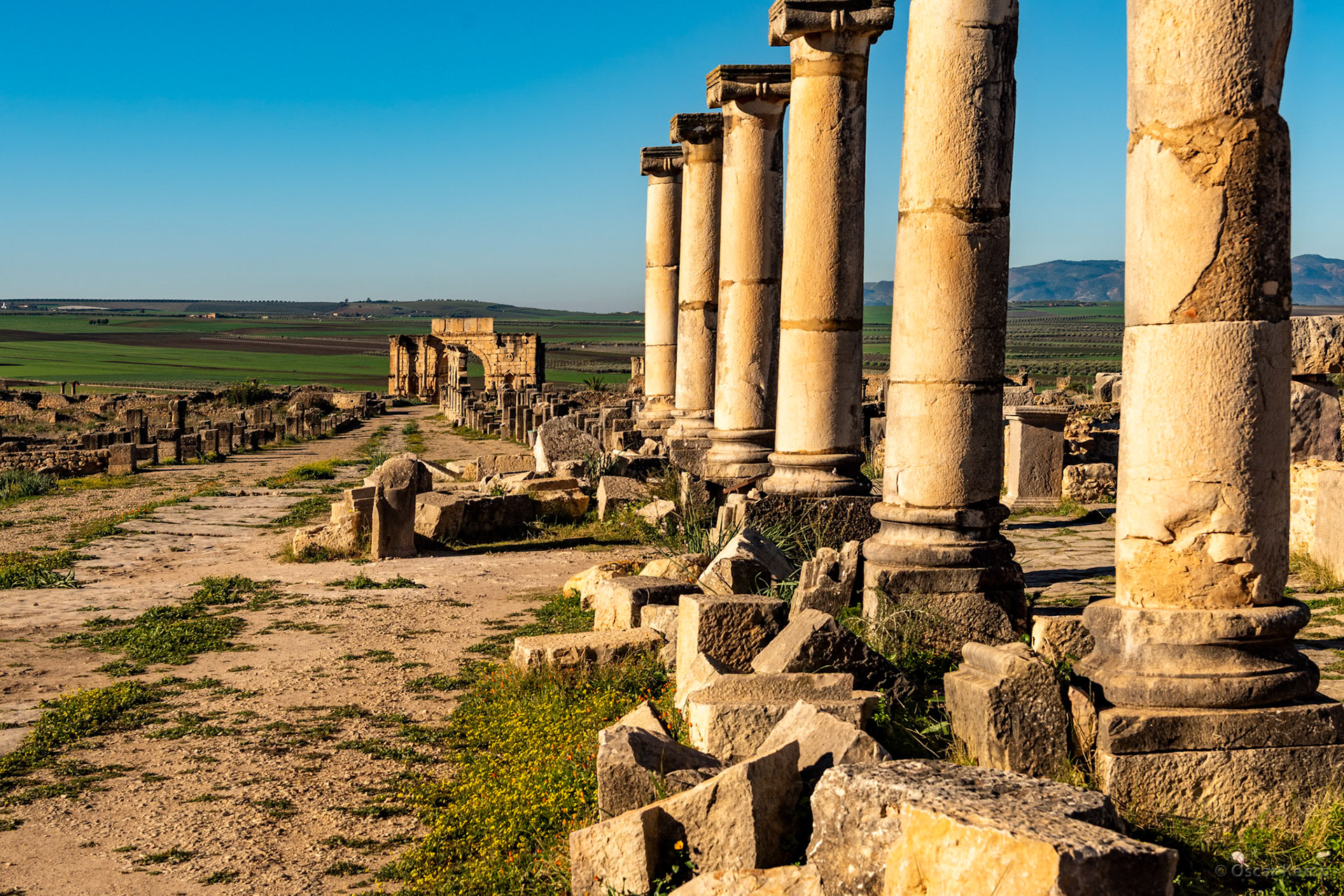 Oualili-Volubilis / Decumanus Maximus (main street), looking north-east Triumphal Arch [Marocco, 2025 02]