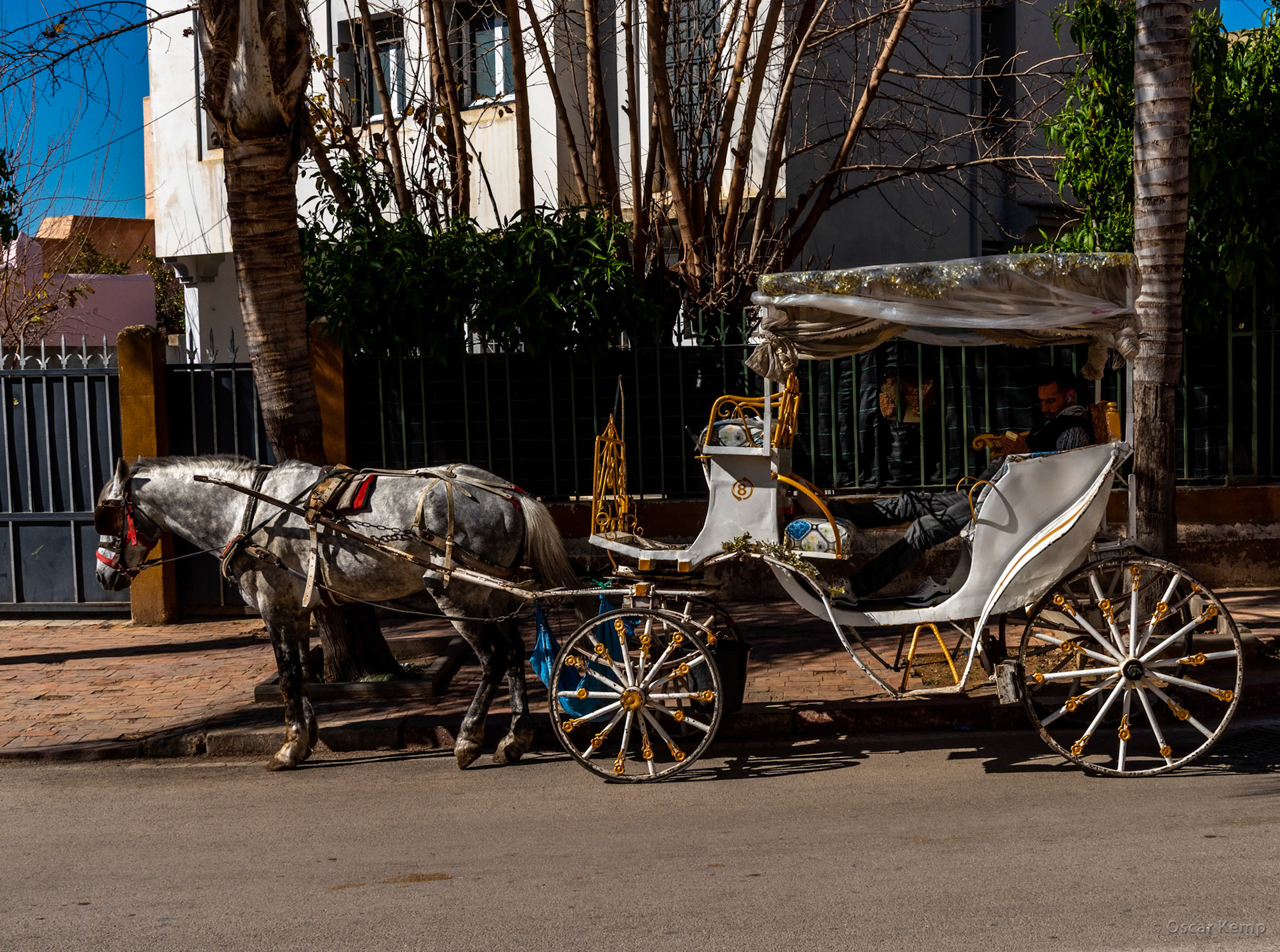 Meknes-Dar Kebira / Local tourist horse carriage [Marocco, 2025 02]