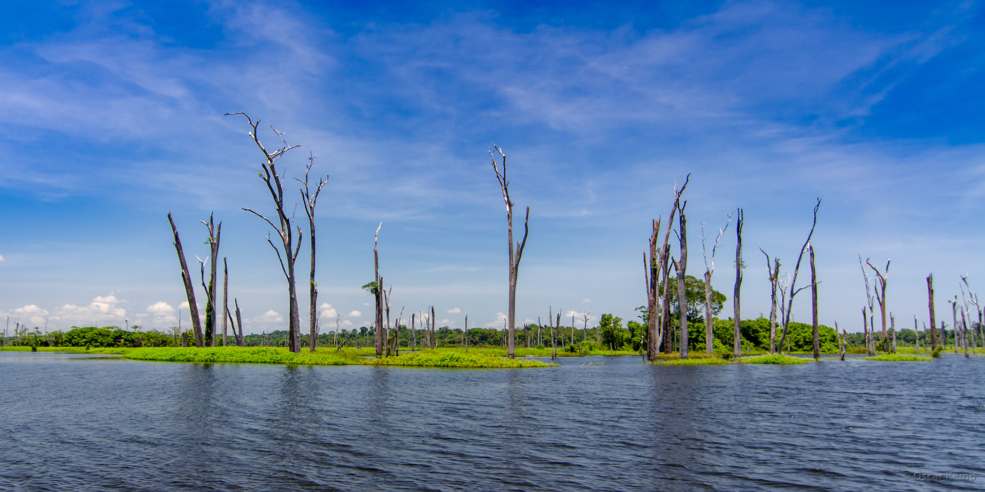 Blommensteijn Stuwmeer / Beautiful view of outcrops of flooded jungle (habitat of Tukunari, Koebi and Piranha)  [Suriname, 2018 10]