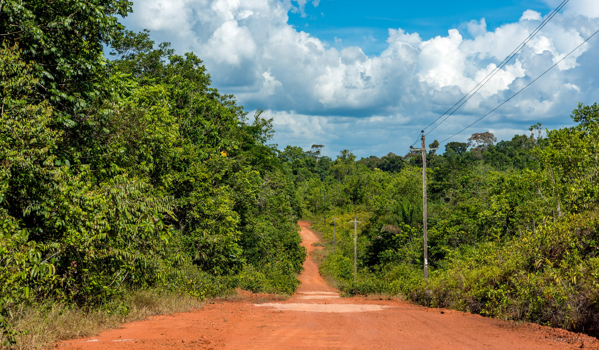Babunhol / Laterite access road to the resort through dense jungle [Suriname, 2018 10]