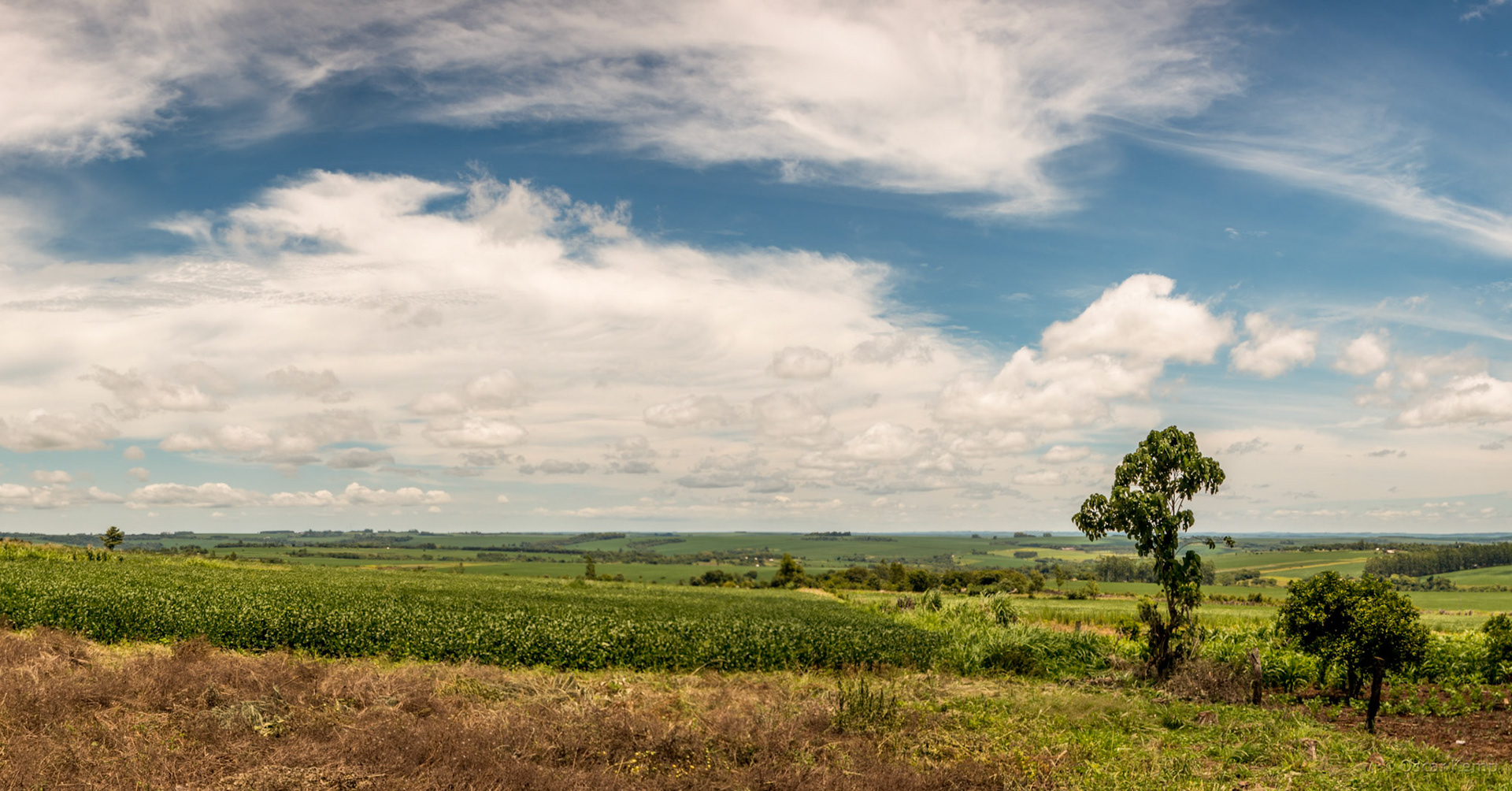 Brazilian Iguazú / Vast soy plantations stretch far beyond the horizon [2016 12]