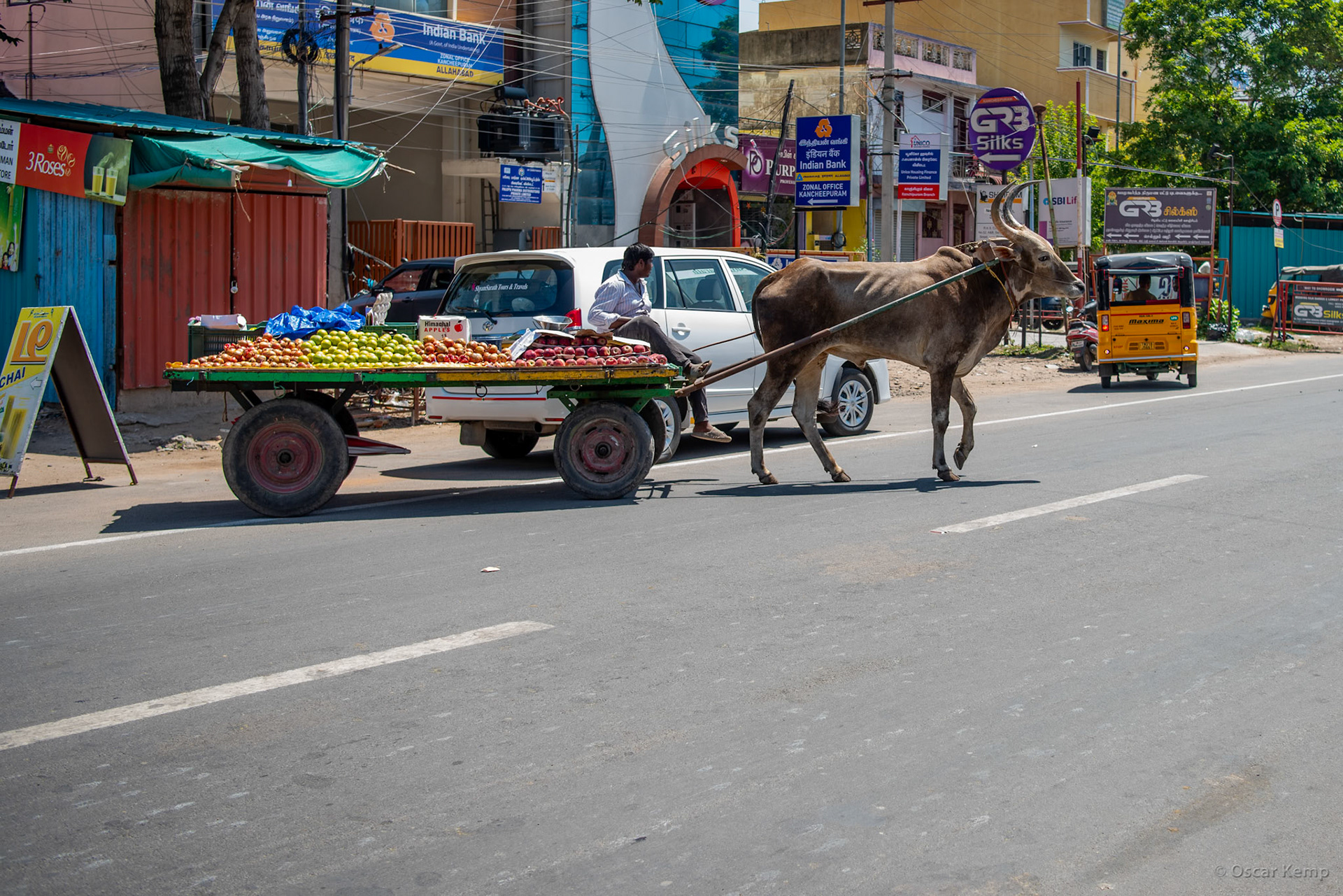 Kanchipuram / Mobile and eco-friendly fruit stall [India 2024 09]