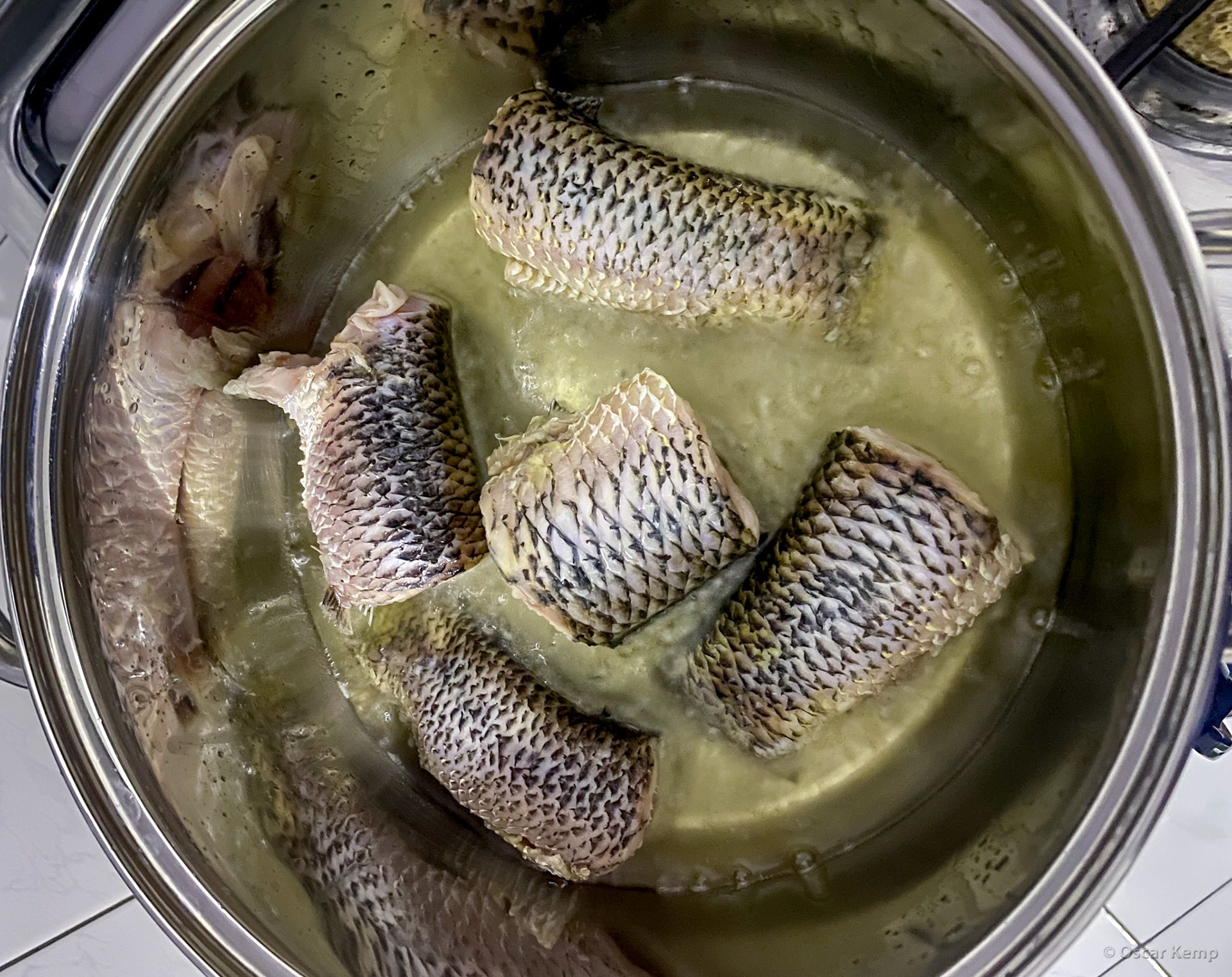 Commisarisstaat-Totness / In the pan 😋: Pataka aka wolf fish, tiger fish, guabine or trahira (Hoplias malabaricus) [Suriname, 2022 09]