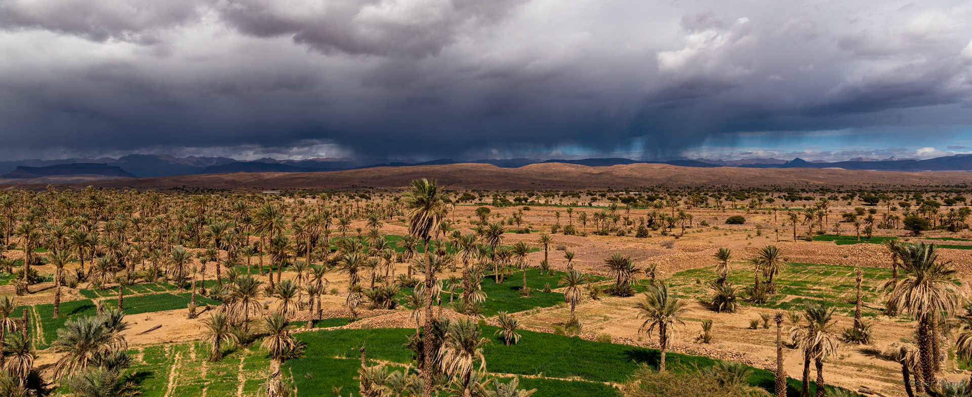 Jbel Saghro / Oasis with slightly dried out date palms; finally some rain in the distance [Marocco, 2025 02]