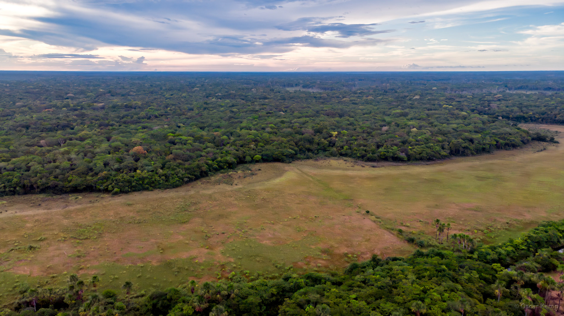 Cassewinica / Overview of the swampy forest area [Suriname, Suriname, 2019 10]