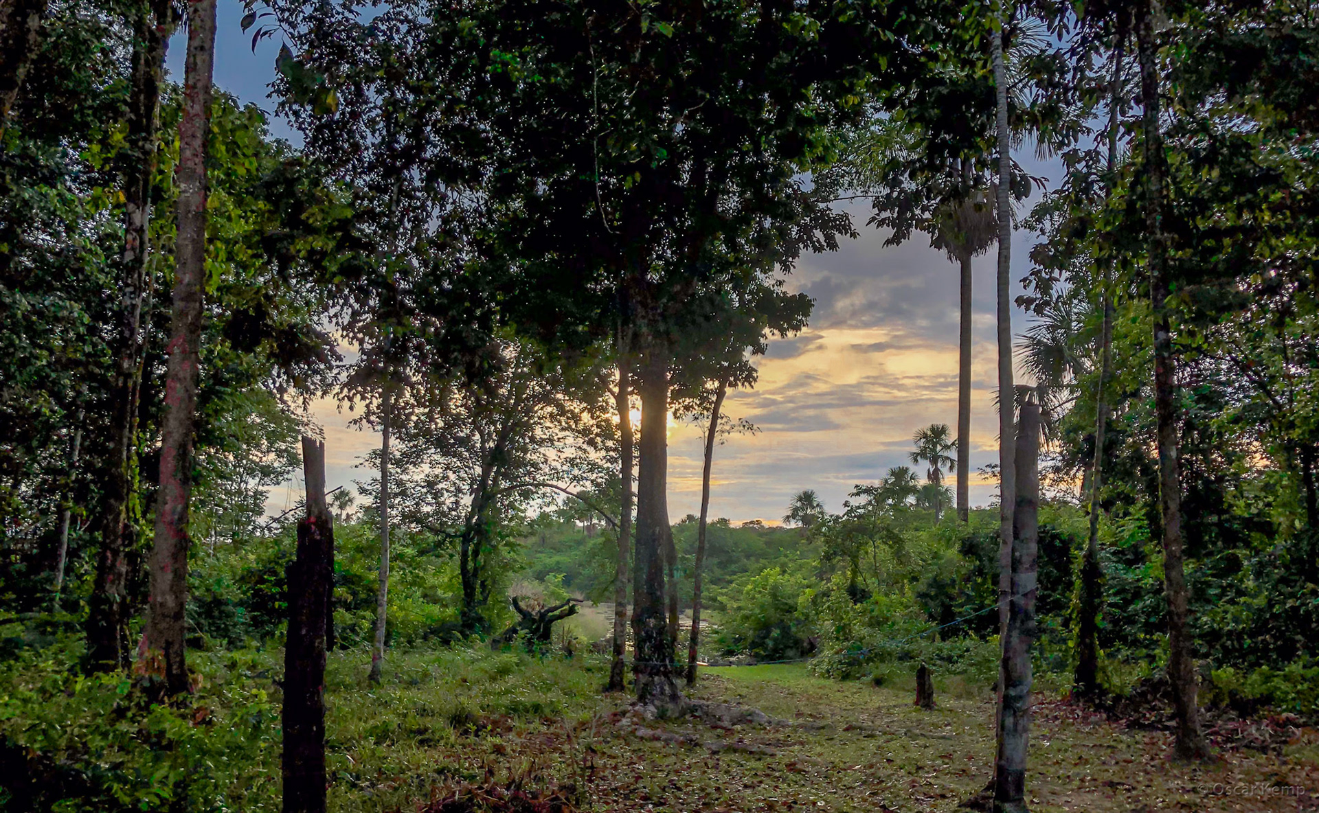 Cassewinica / Dawn near lodge [Suriname, 2019 10]