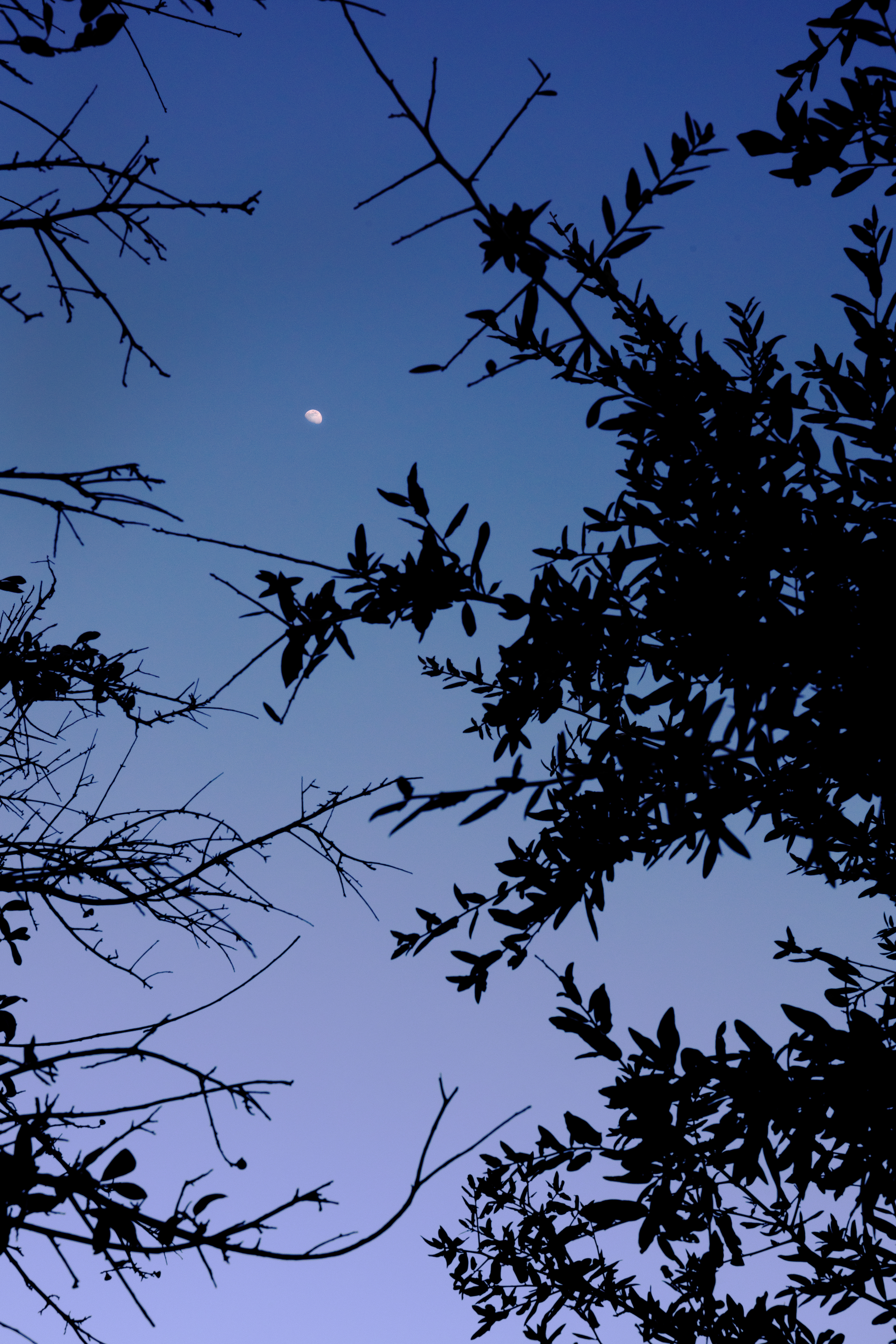 The sun sets and the moon rises on Denton Square on a frigid  afternoon.