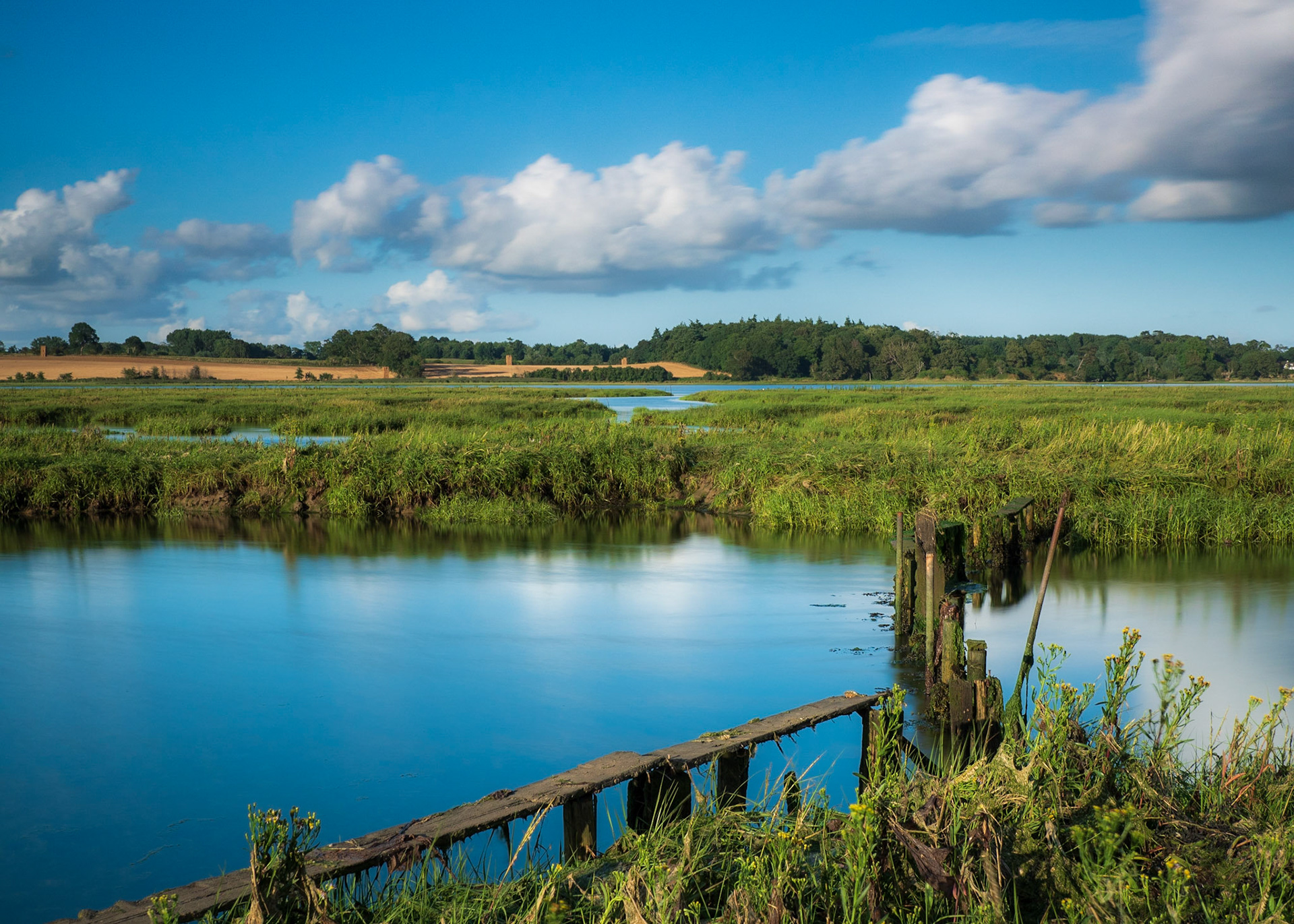 The salt marsh