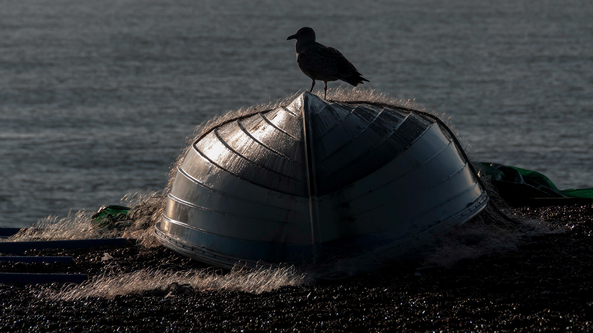 Aldeburgh, 2013