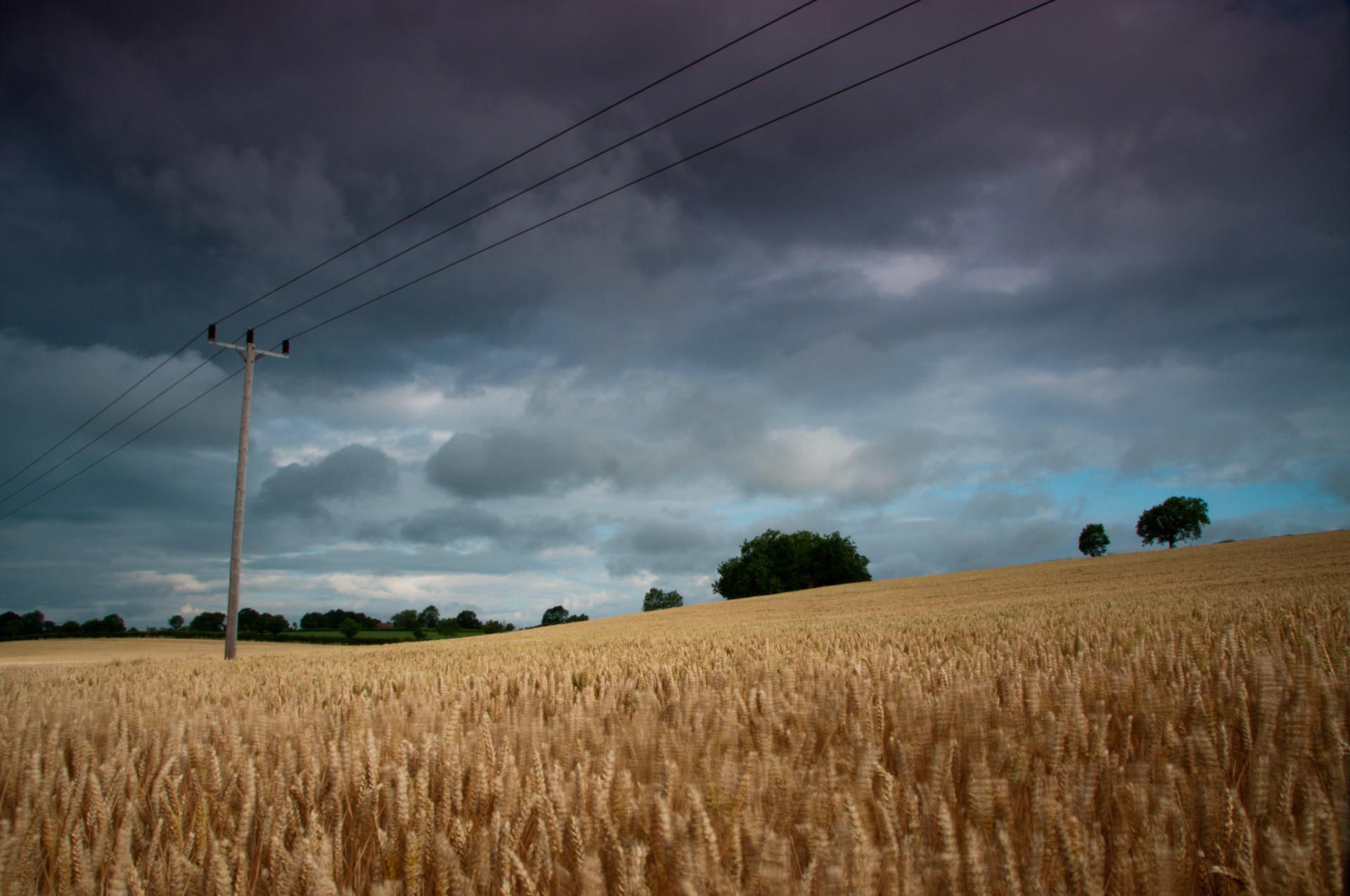The fields, Woodhall Farm, 2010