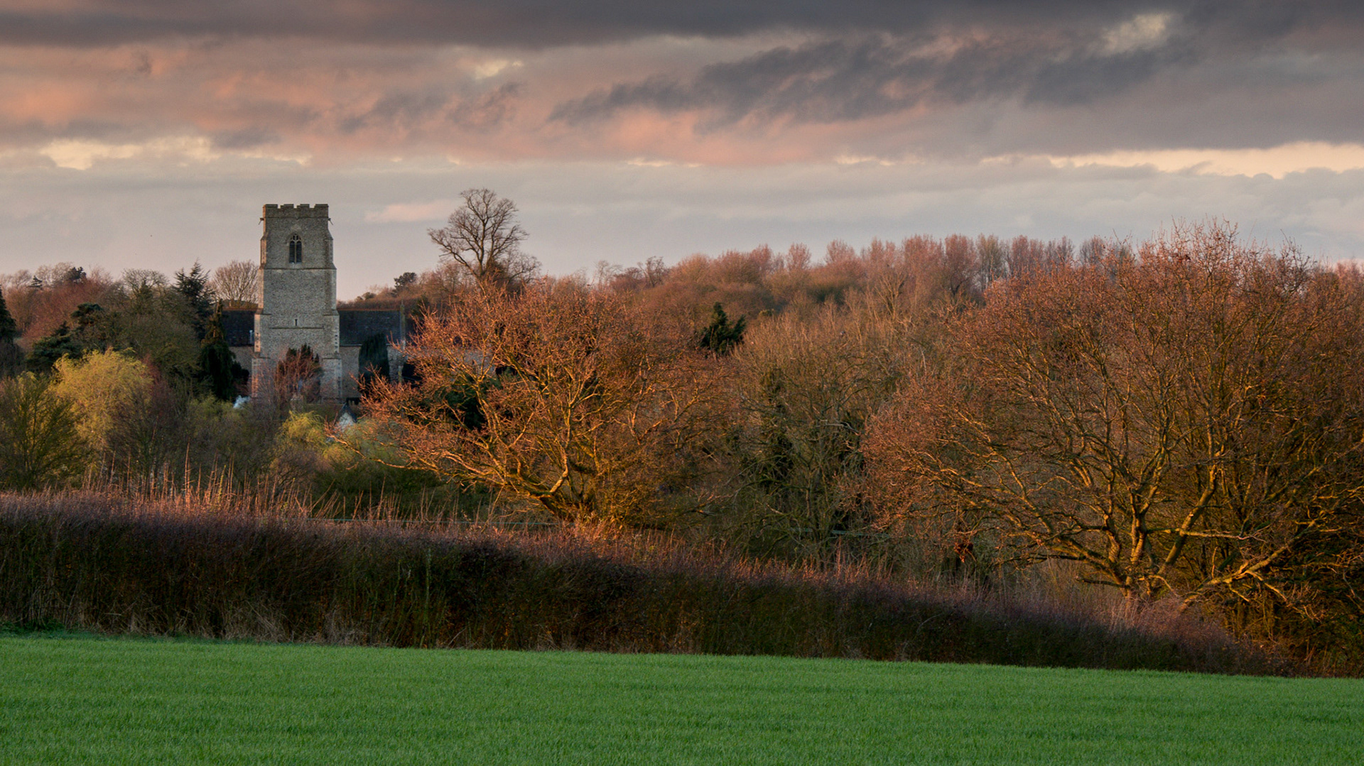 Winters Glow - Burgh Suffolk, 2017