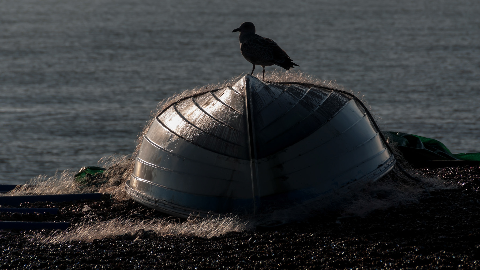 Aldeburgh, 2013