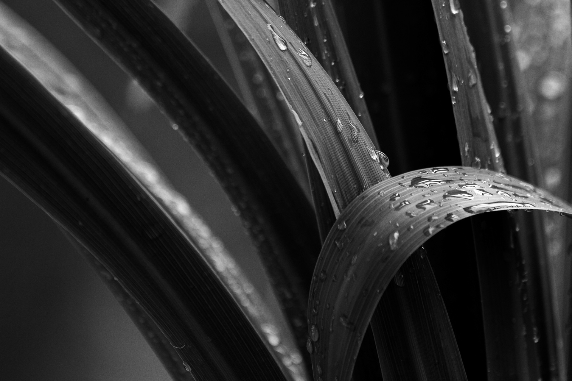 Monochromatic Design Principles