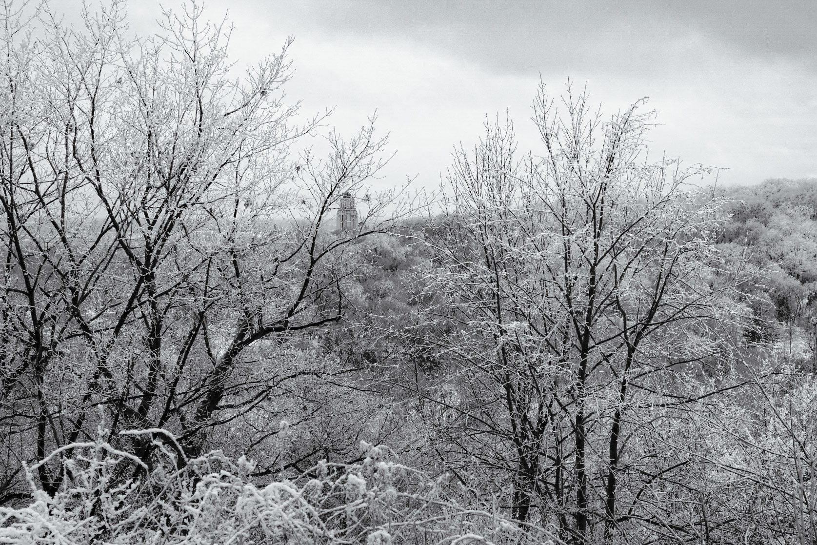 Mont-Royal