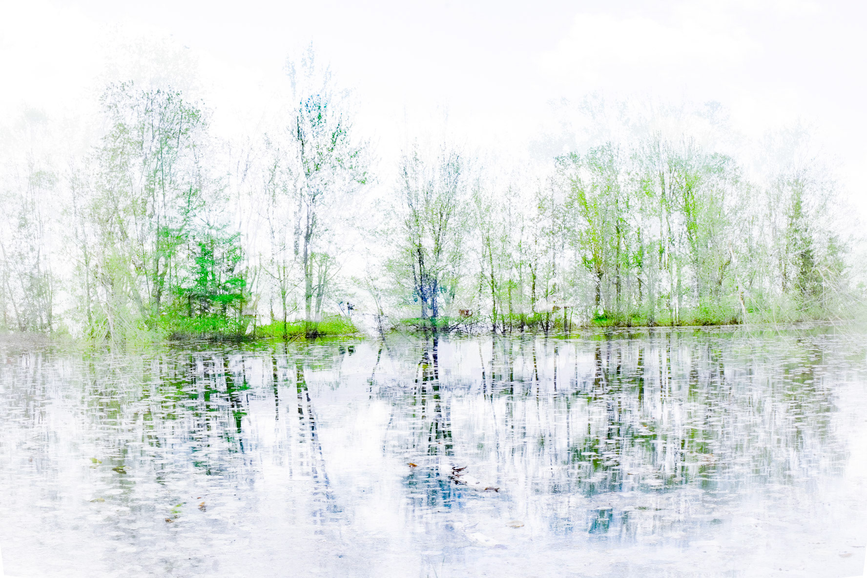 Un printemps au jardin