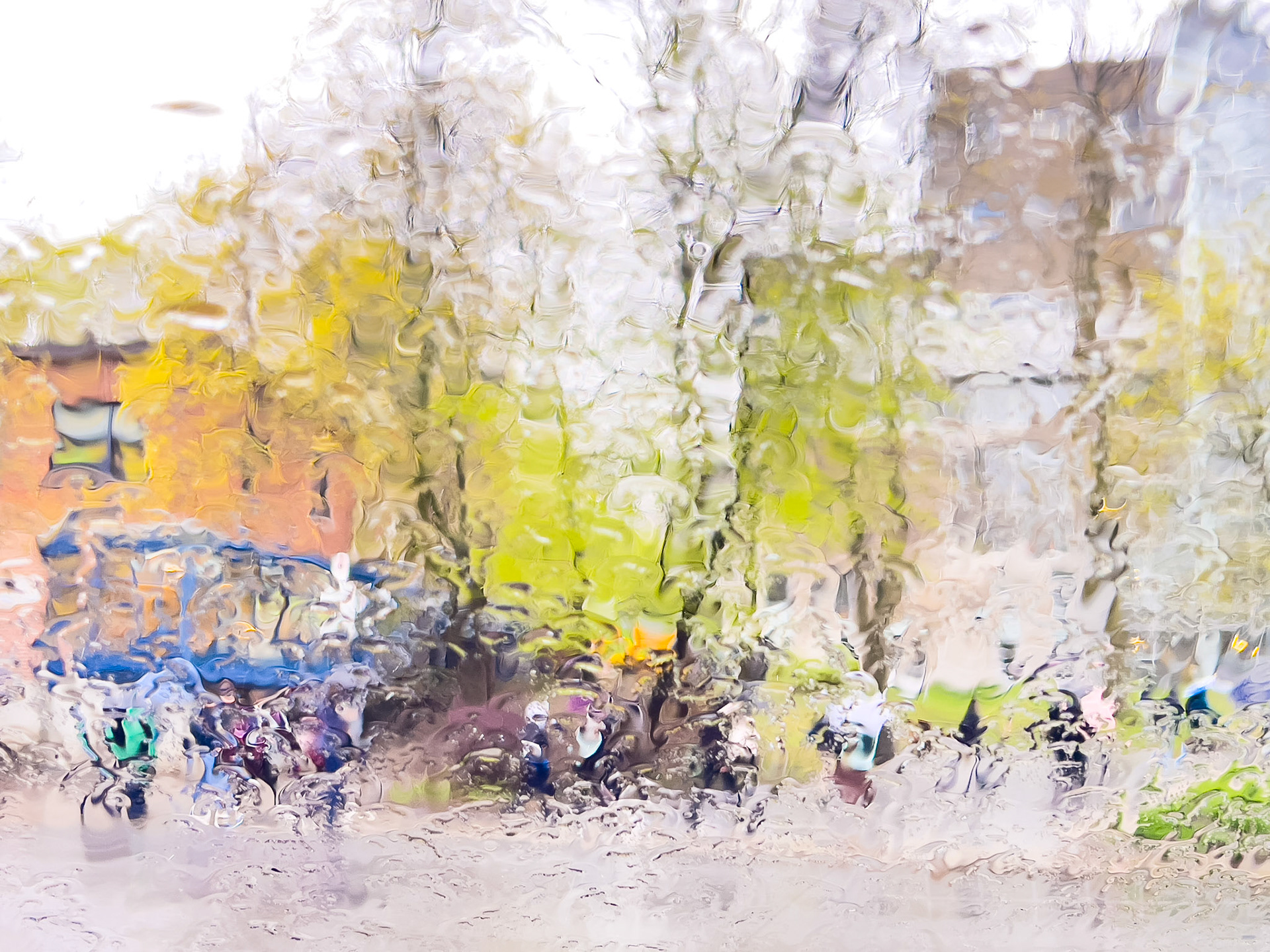 Another rainy day 1
