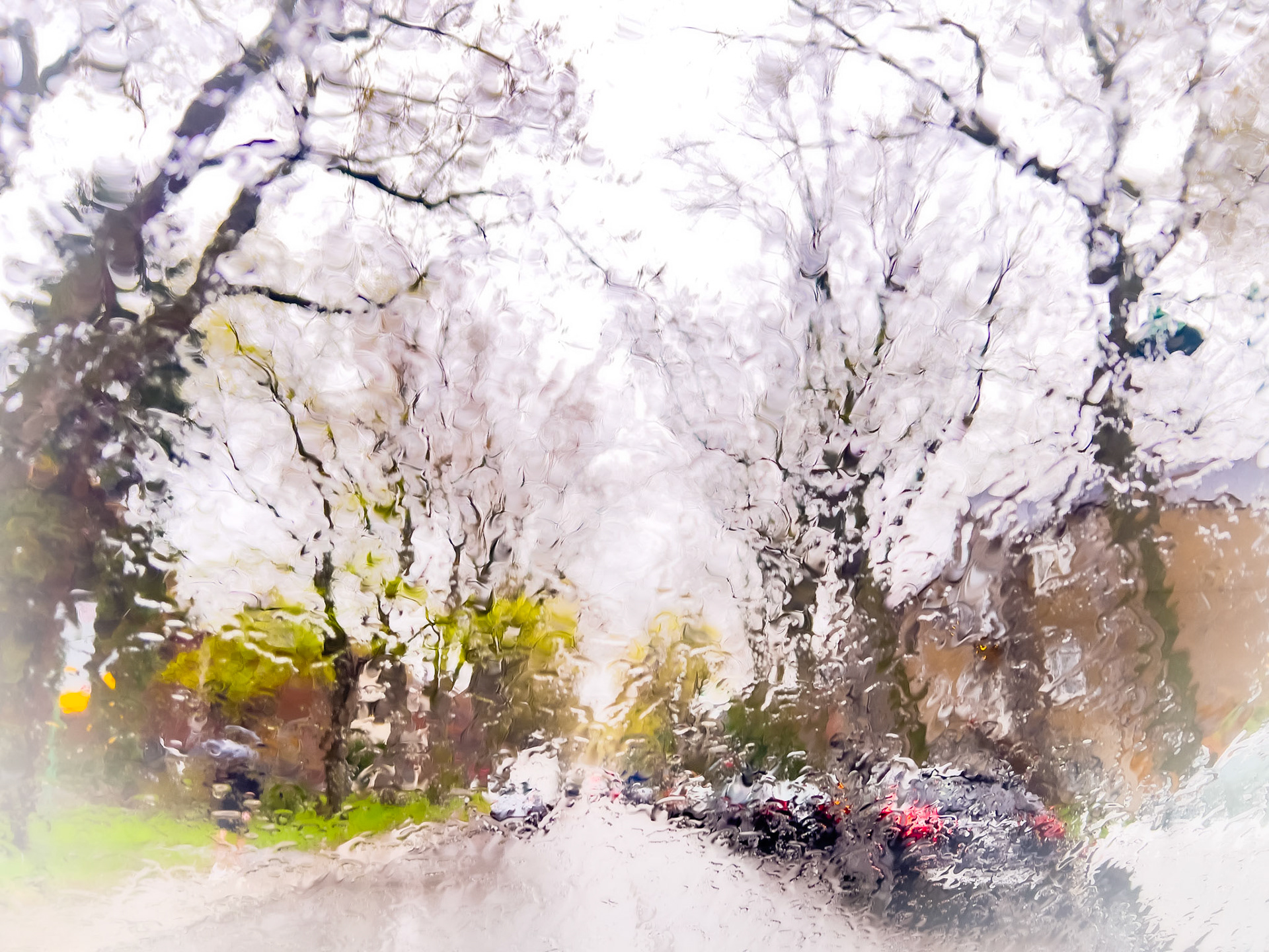 Another rainy day 3